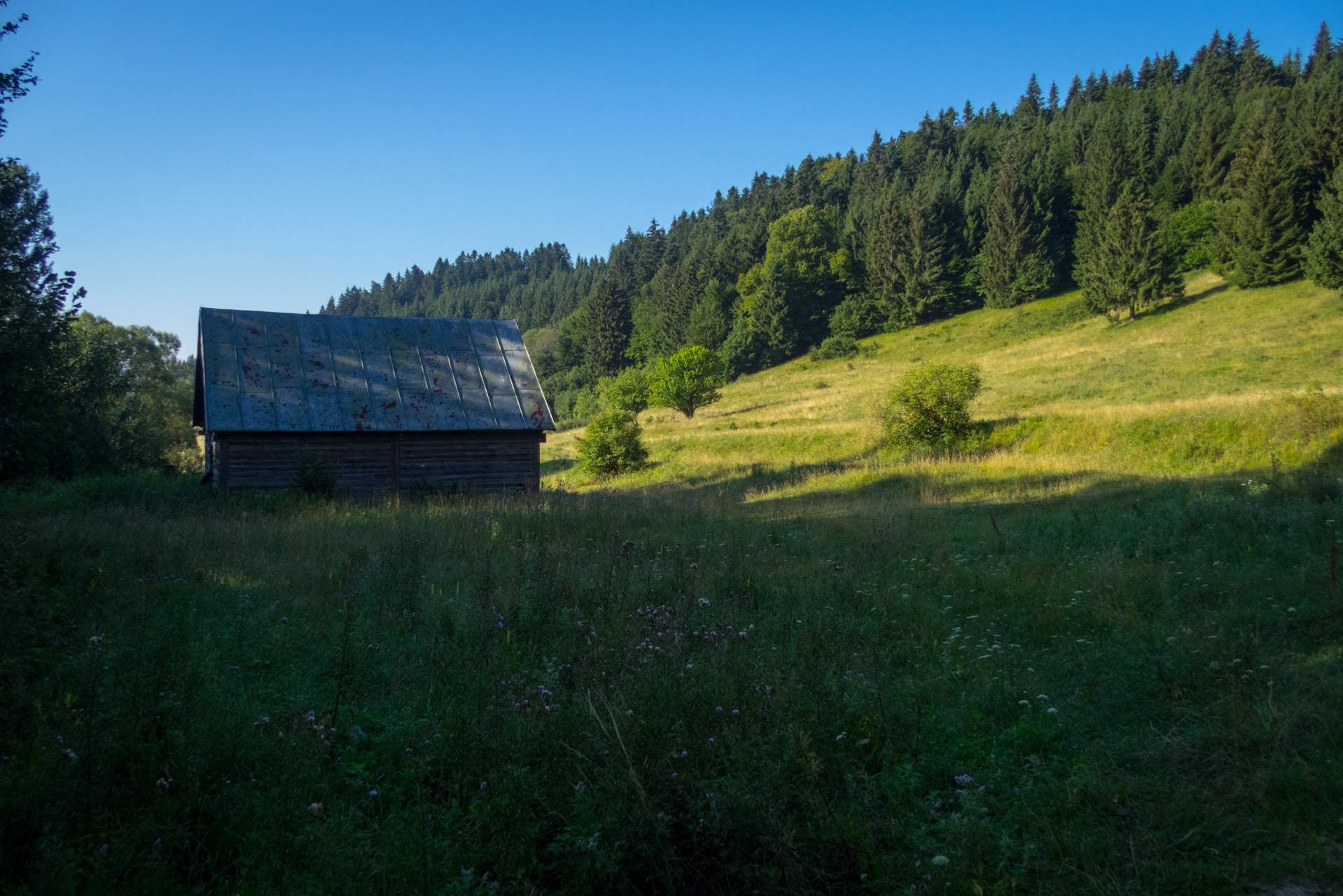 Skalka z Črmného (Nízke Tatry)