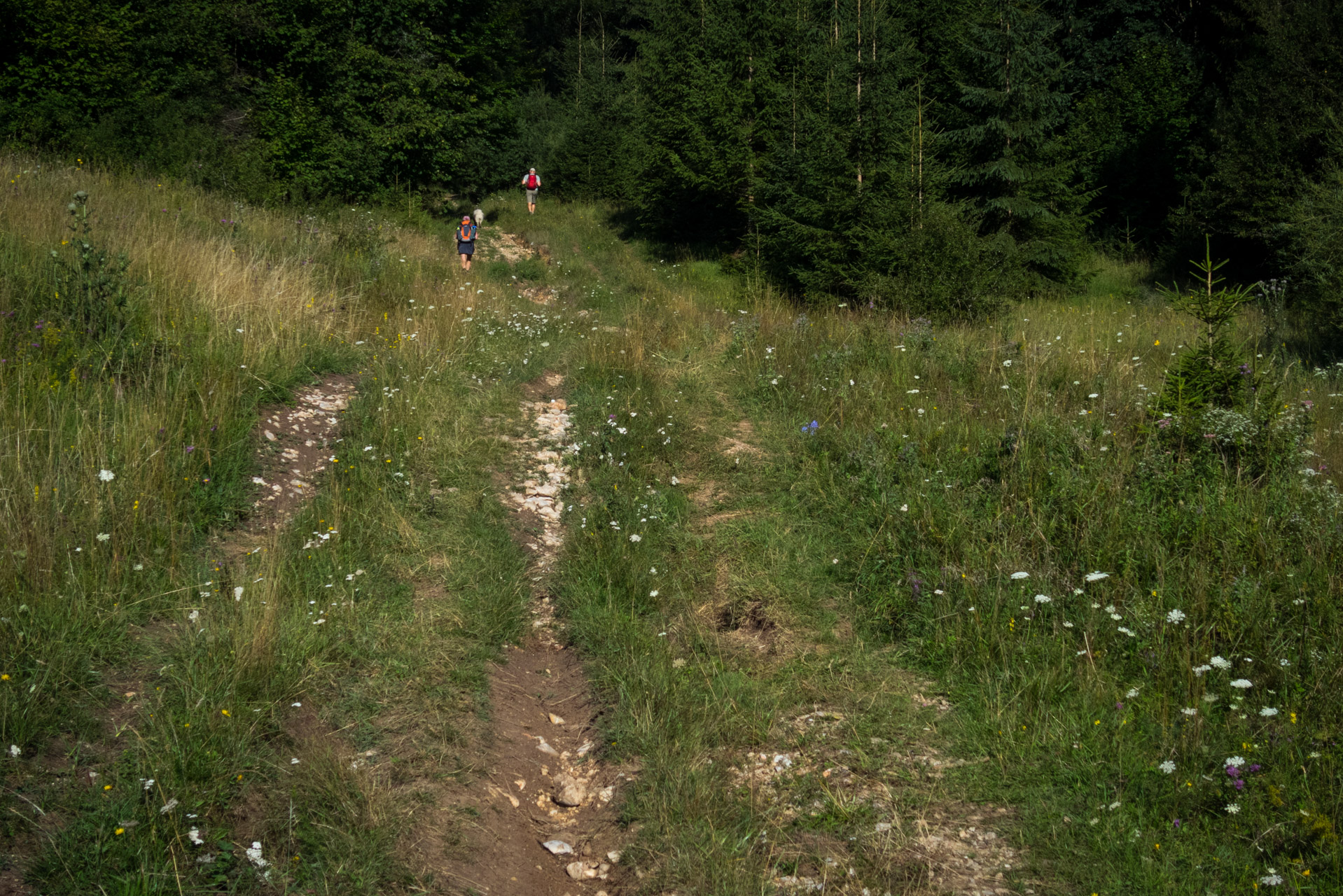 Skalka z Črmného (Nízke Tatry)