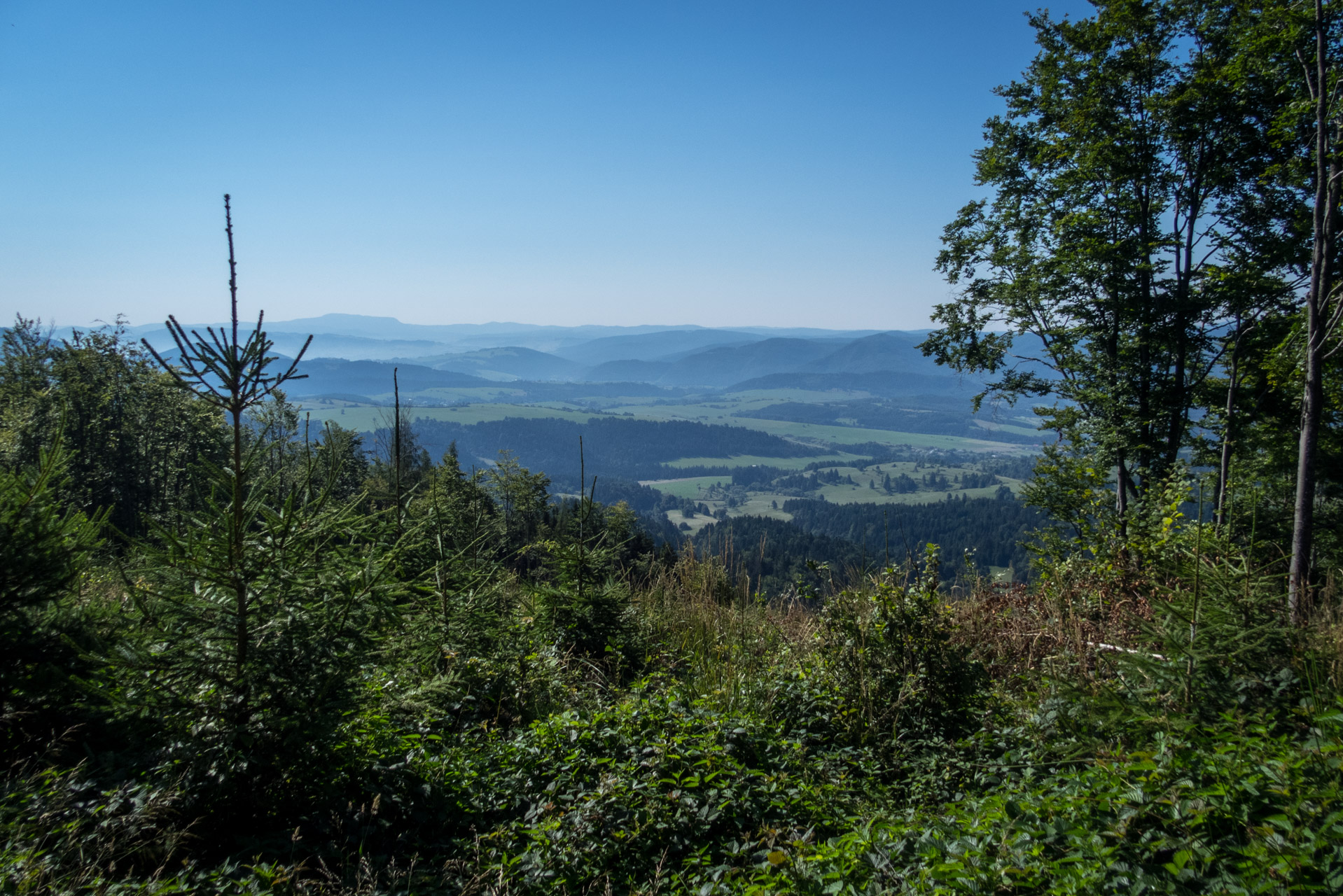 Skalka z Črmného (Nízke Tatry)