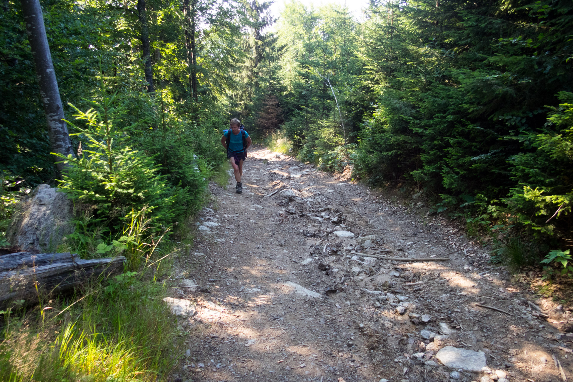 Skalka z Črmného (Nízke Tatry)