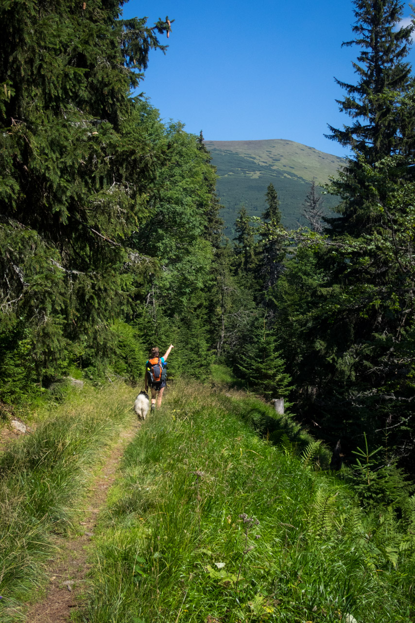 Skalka z Črmného (Nízke Tatry)