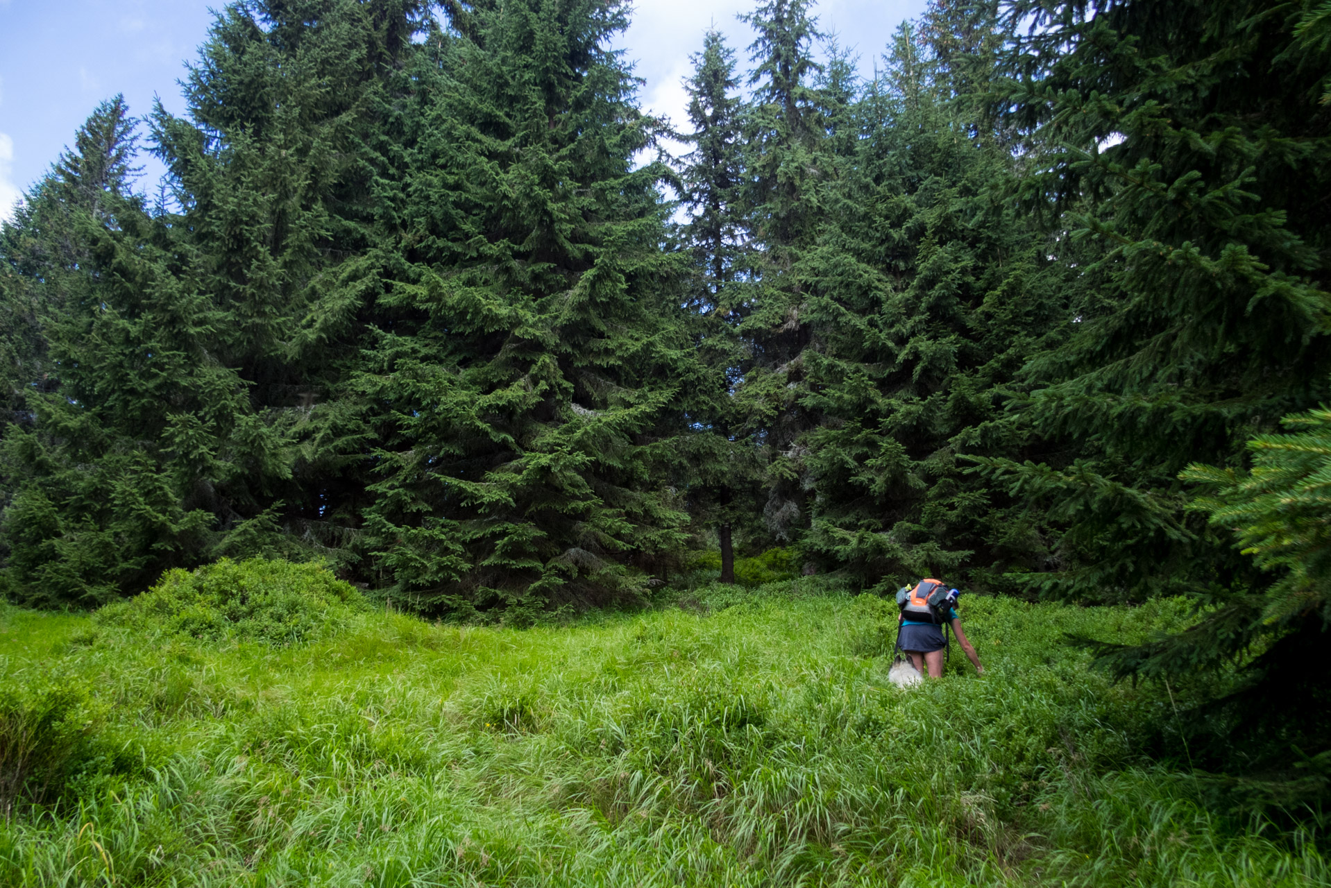 Skalka z Črmného (Nízke Tatry)