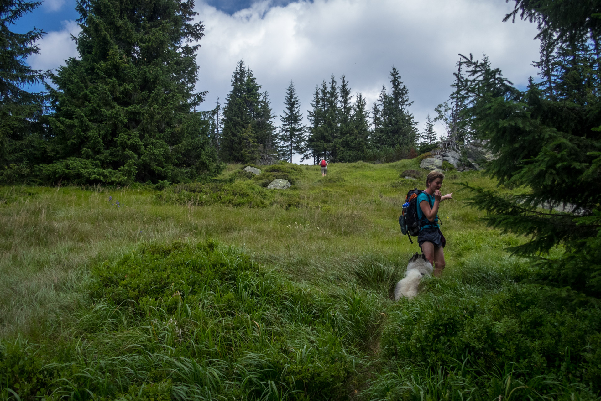 Skalka z Črmného (Nízke Tatry)