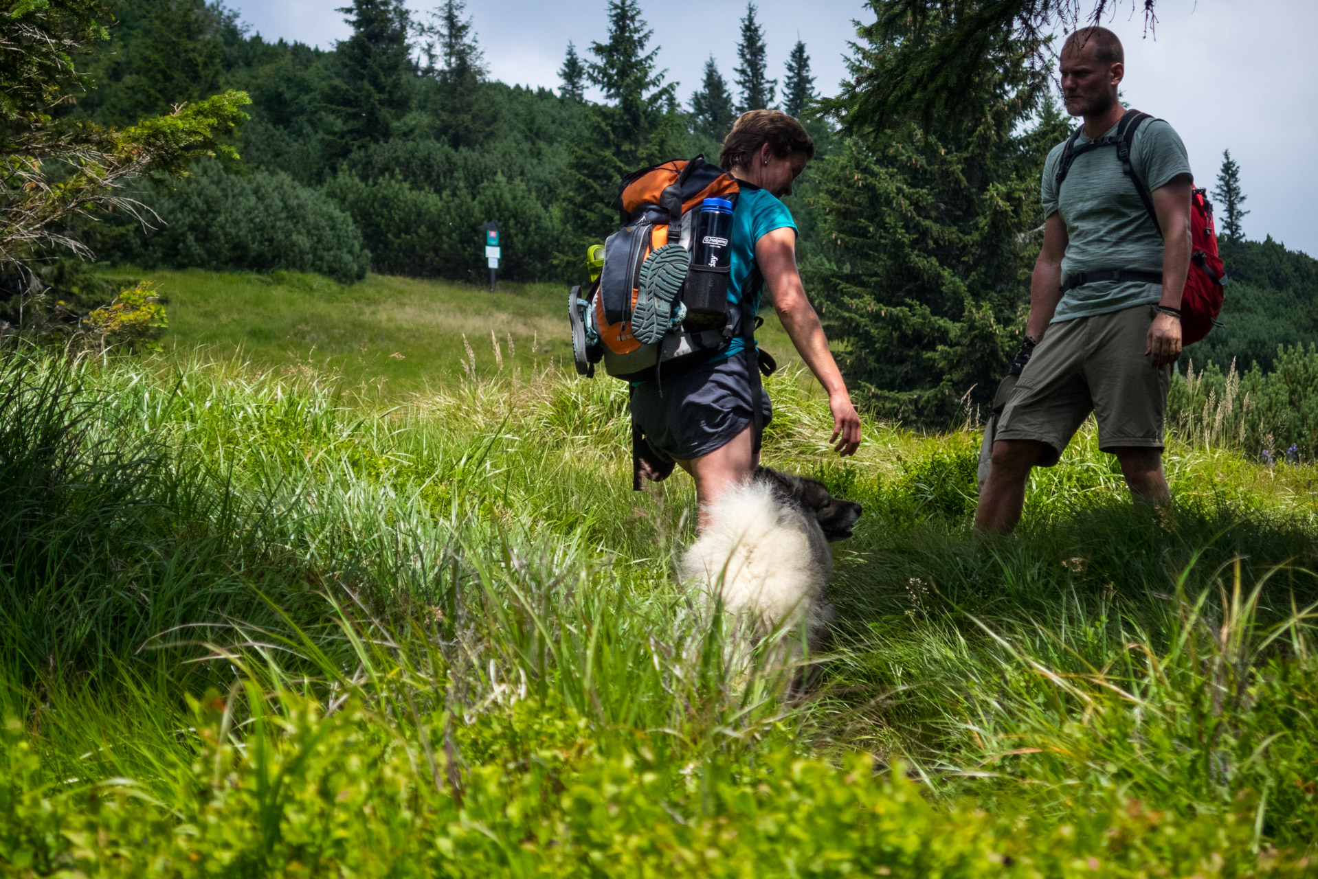 Skalka z Črmného (Nízke Tatry)