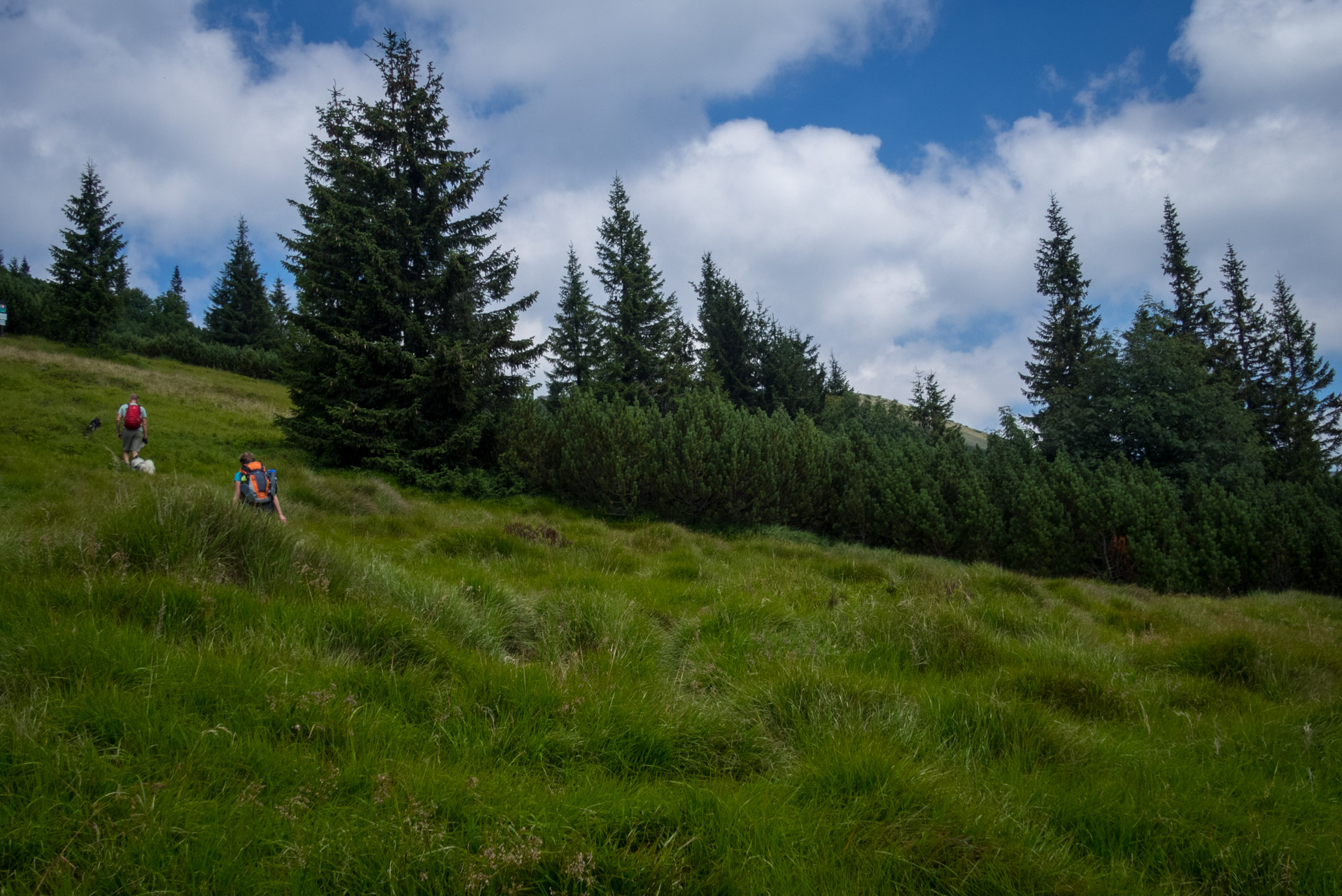 Skalka z Črmného (Nízke Tatry)