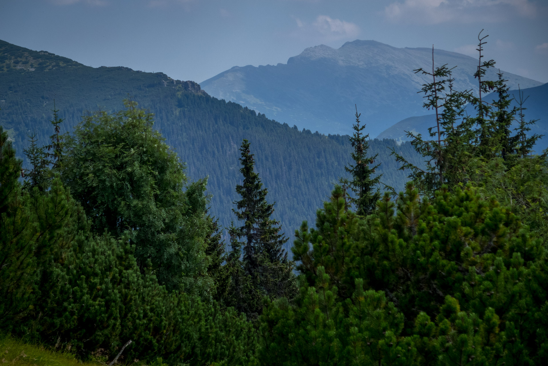 Skalka z Črmného (Nízke Tatry)