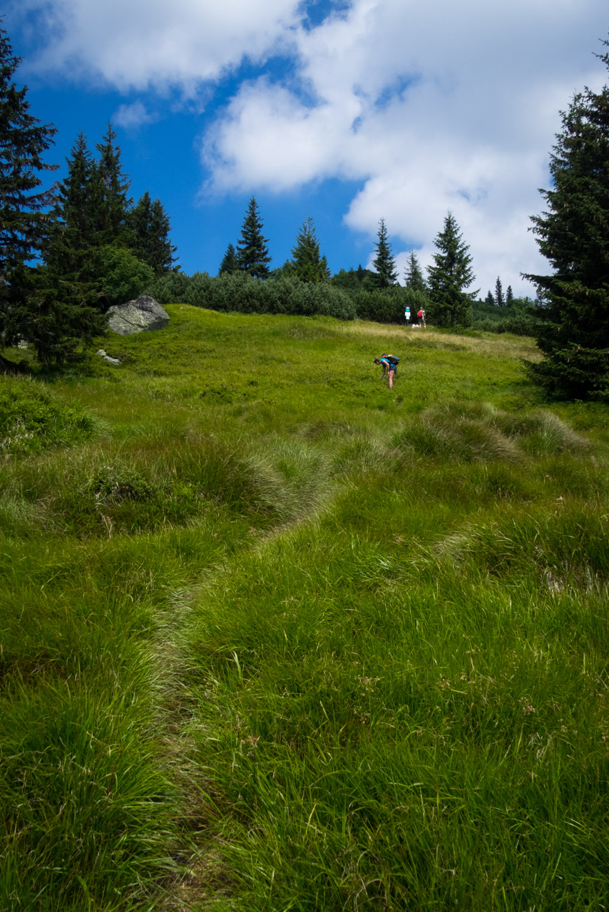 Skalka z Črmného (Nízke Tatry)