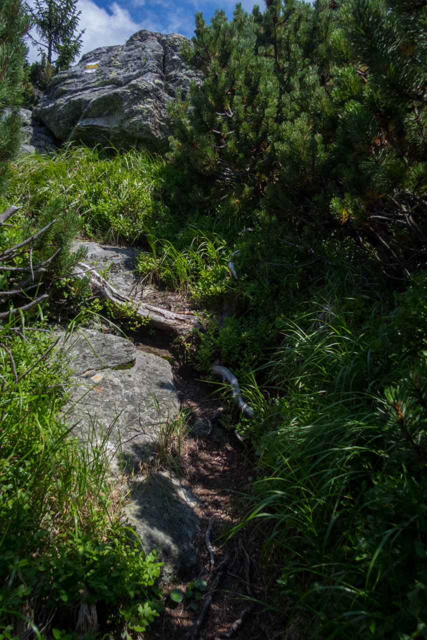 Skalka z Črmného (Nízke Tatry)