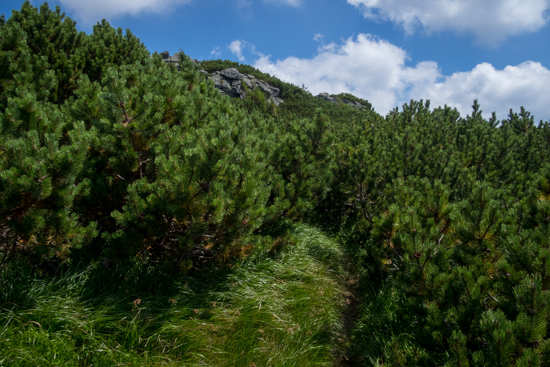 Skalka z Črmného (Nízke Tatry)