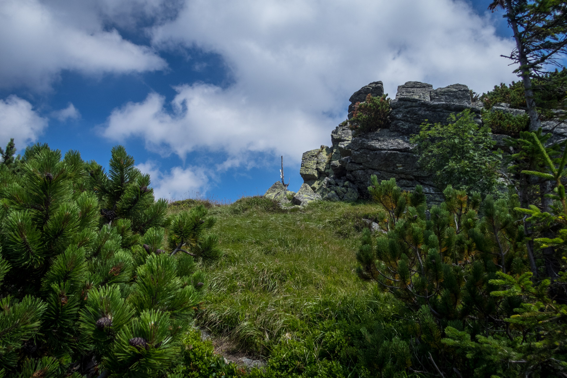 Skalka z Črmného (Nízke Tatry)