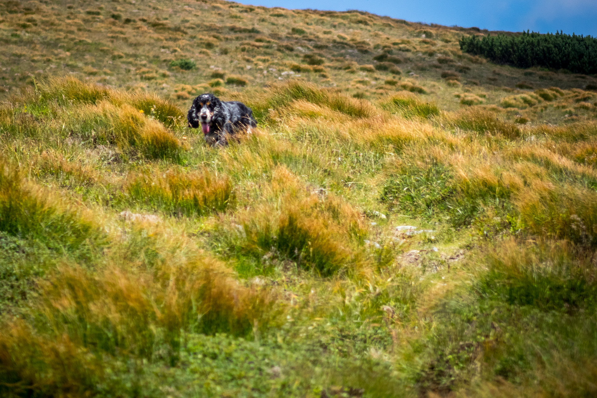 Skalka z Črmného (Nízke Tatry)