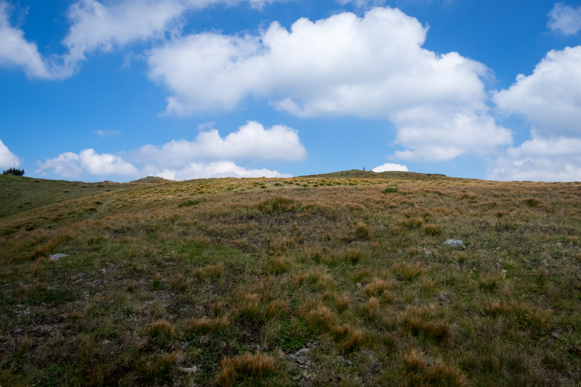 Skalka z Črmného (Nízke Tatry)