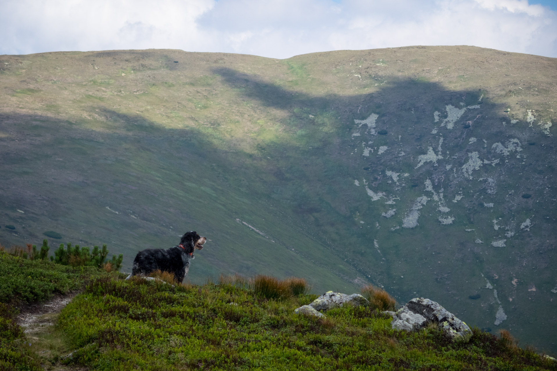 Skalka z Črmného (Nízke Tatry)