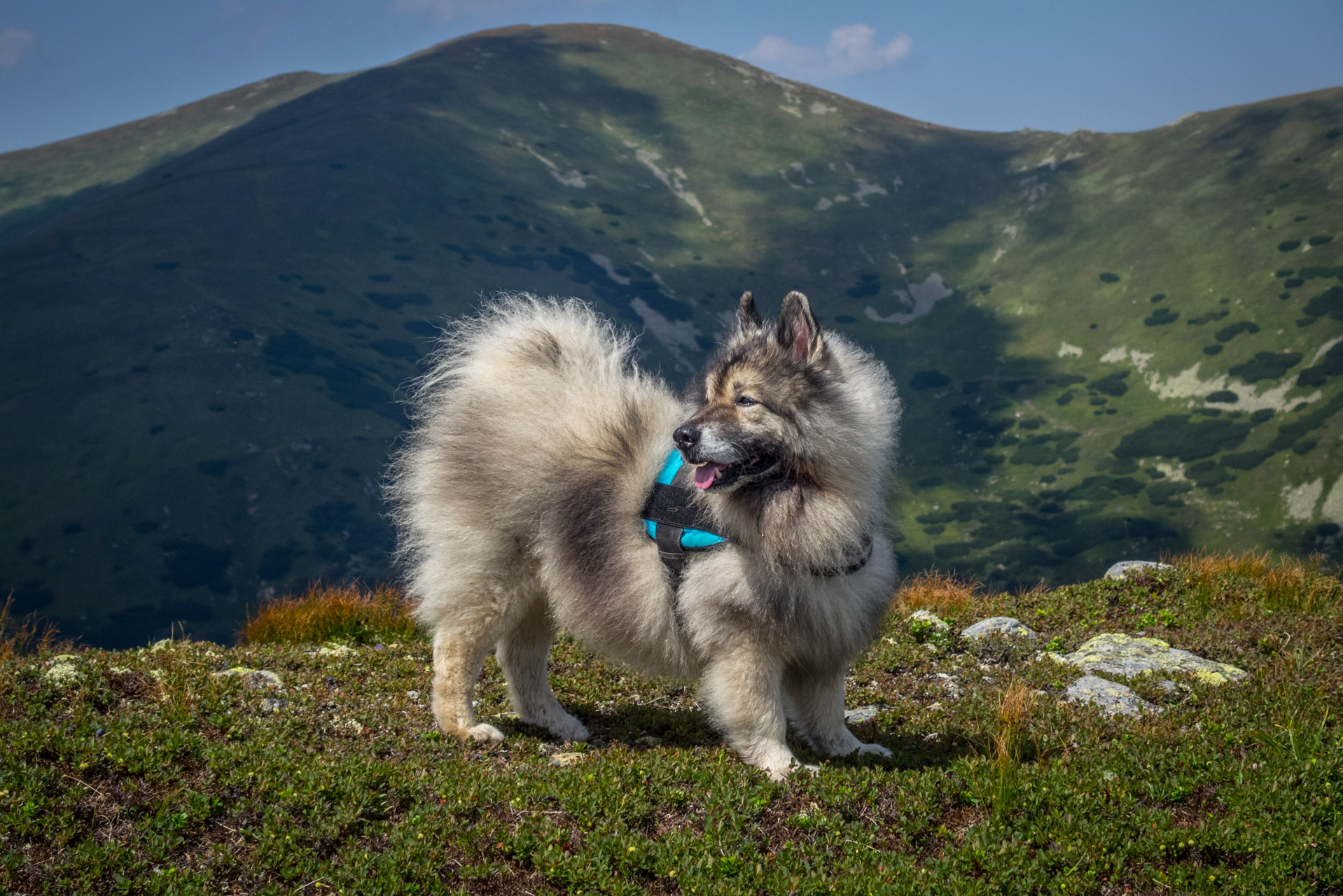 Skalka z Črmného (Nízke Tatry)