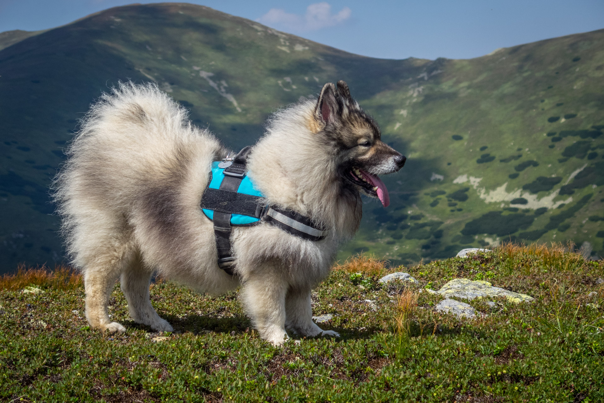 Skalka z Črmného (Nízke Tatry)