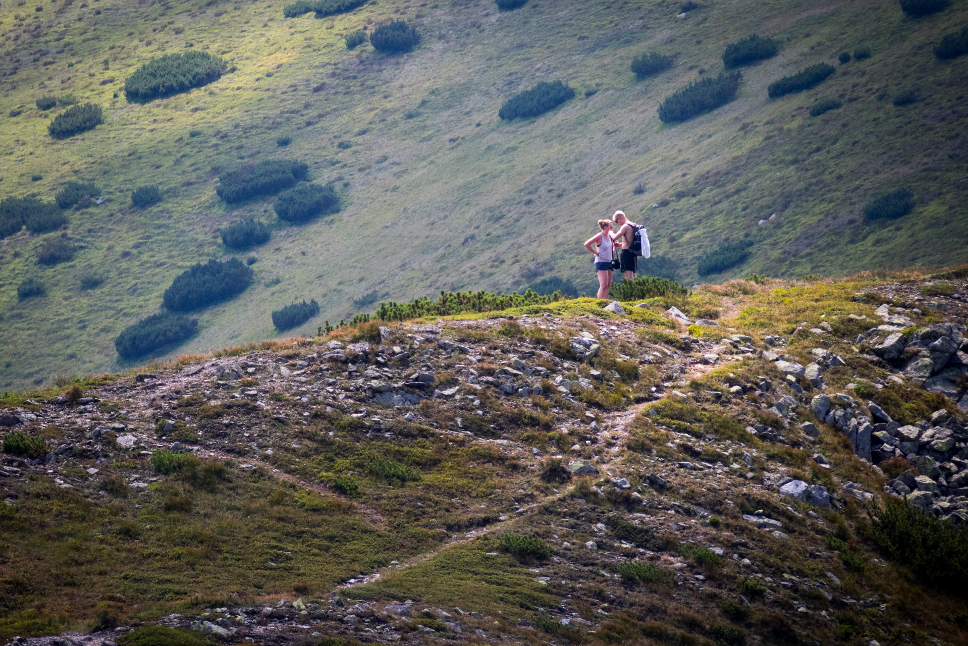 Skalka z Črmného (Nízke Tatry)