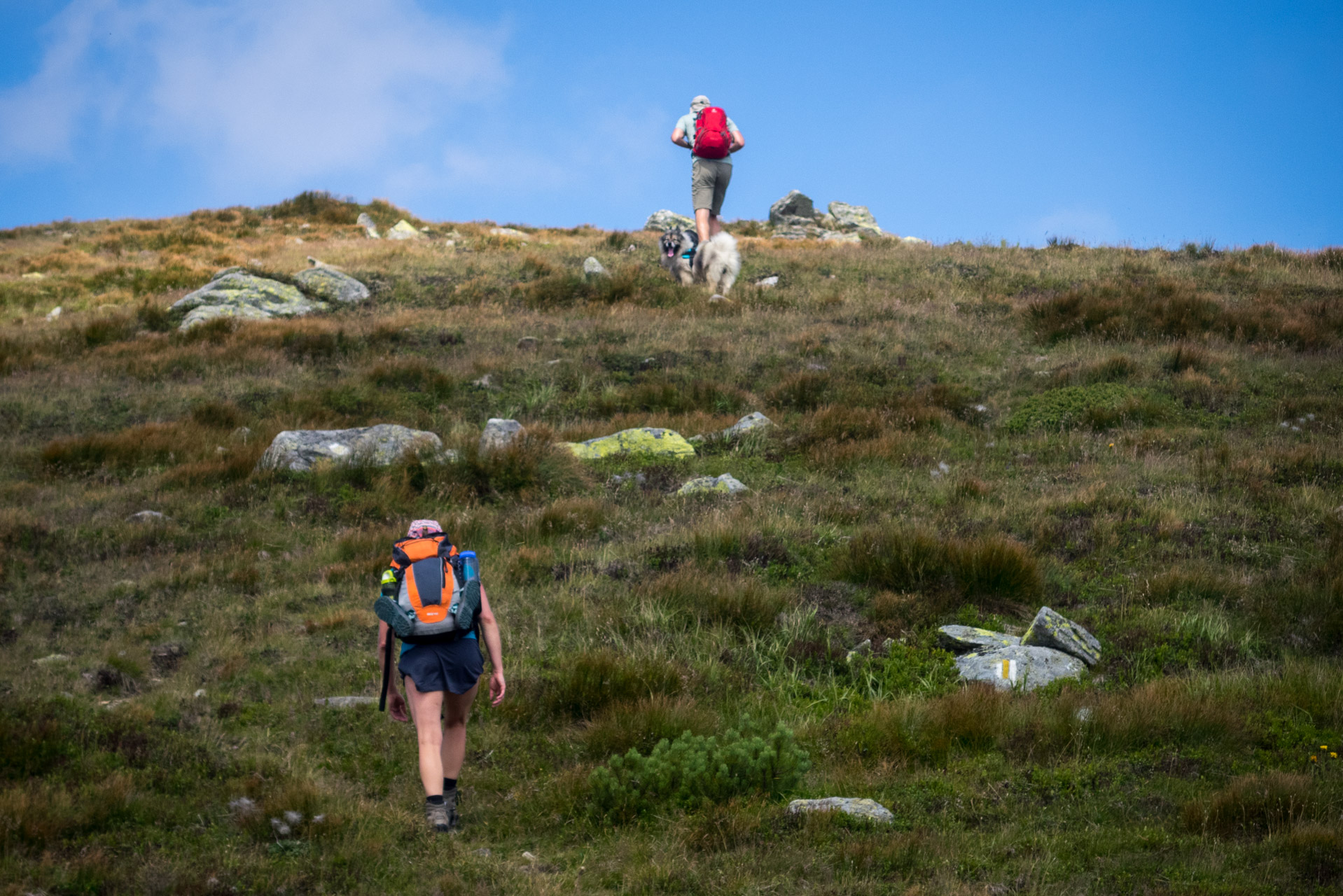 Skalka z Črmného (Nízke Tatry)