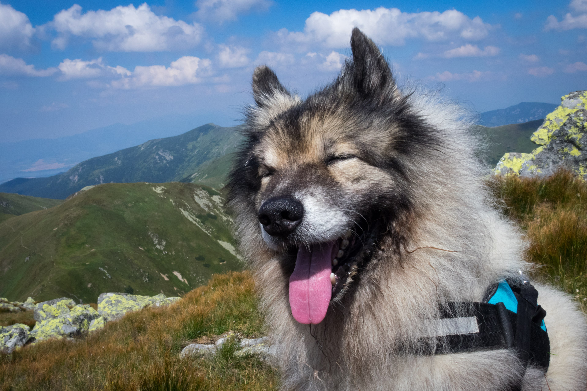 Skalka z Črmného (Nízke Tatry)