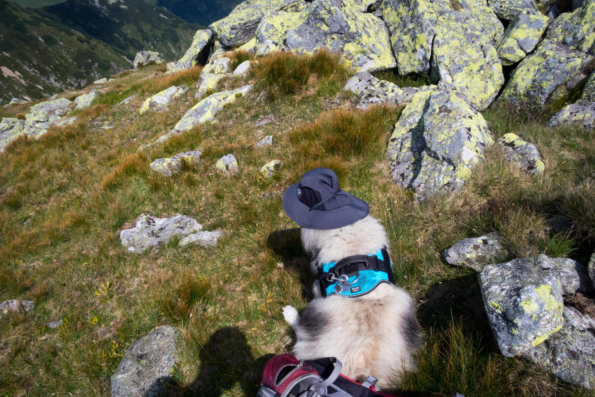 Skalka z Črmného (Nízke Tatry)