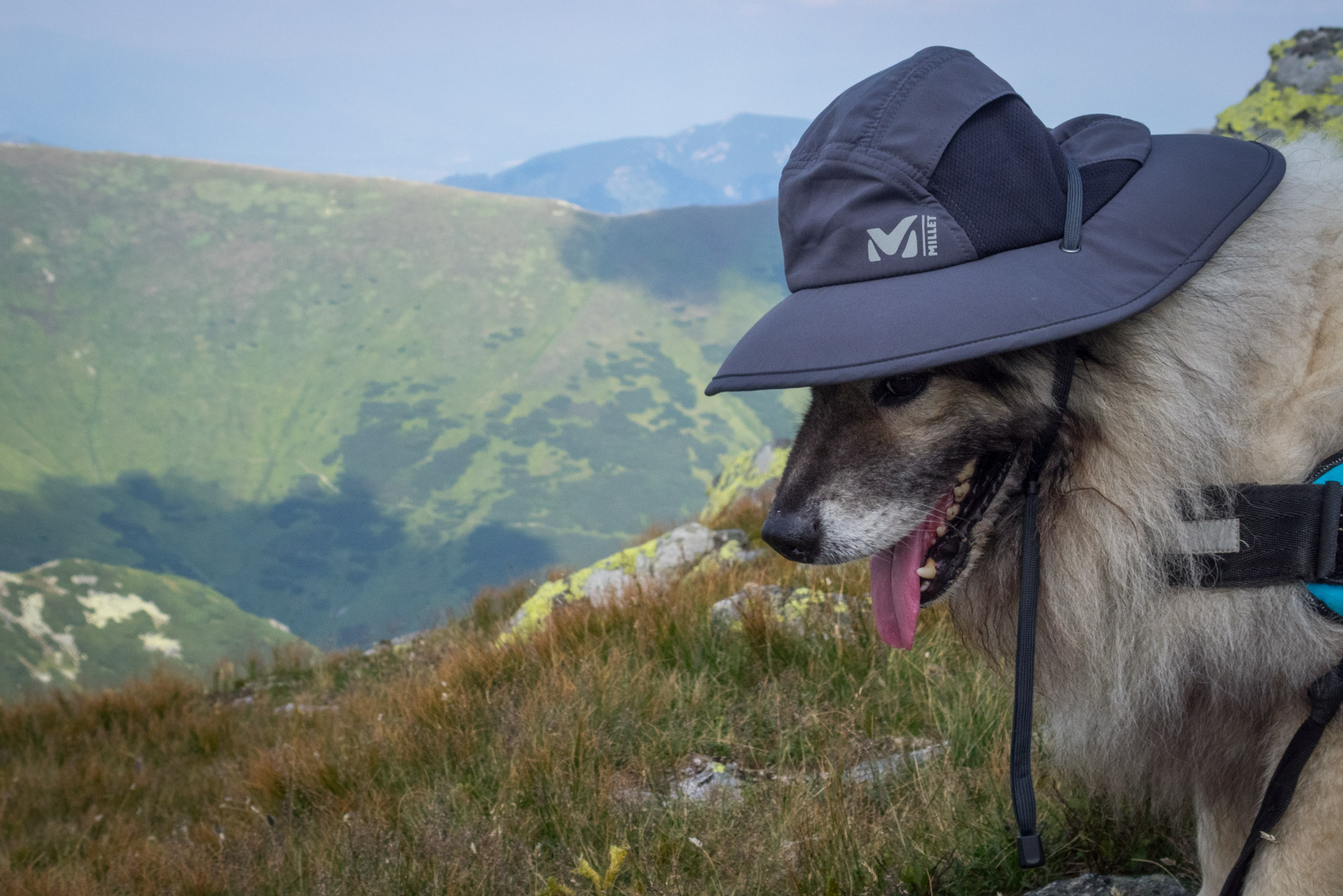 Skalka z Črmného (Nízke Tatry)