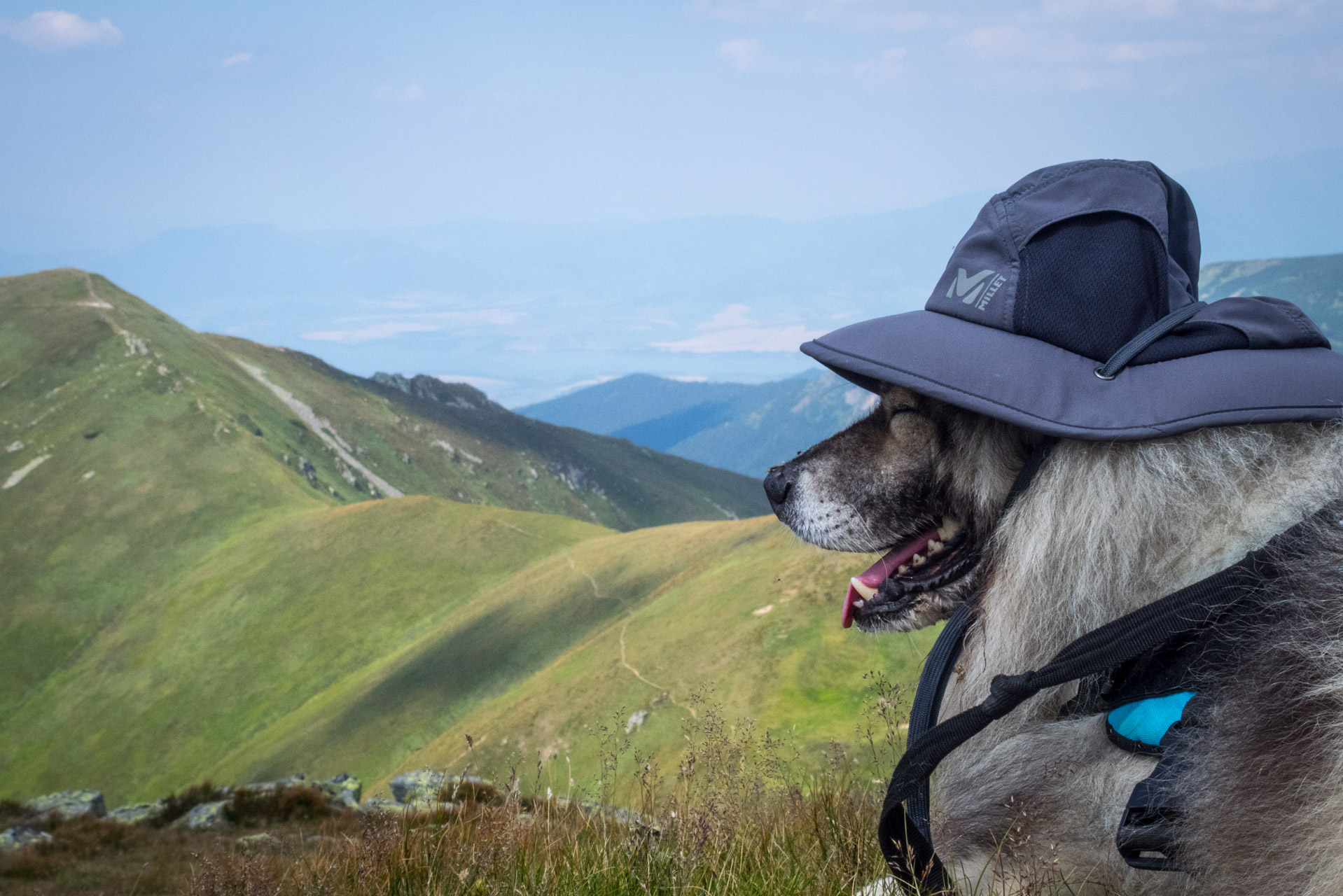 Skalka z Črmného (Nízke Tatry)