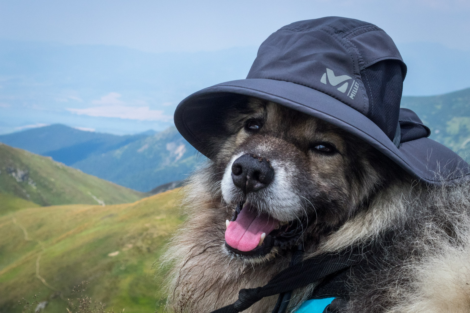 Skalka z Črmného (Nízke Tatry)