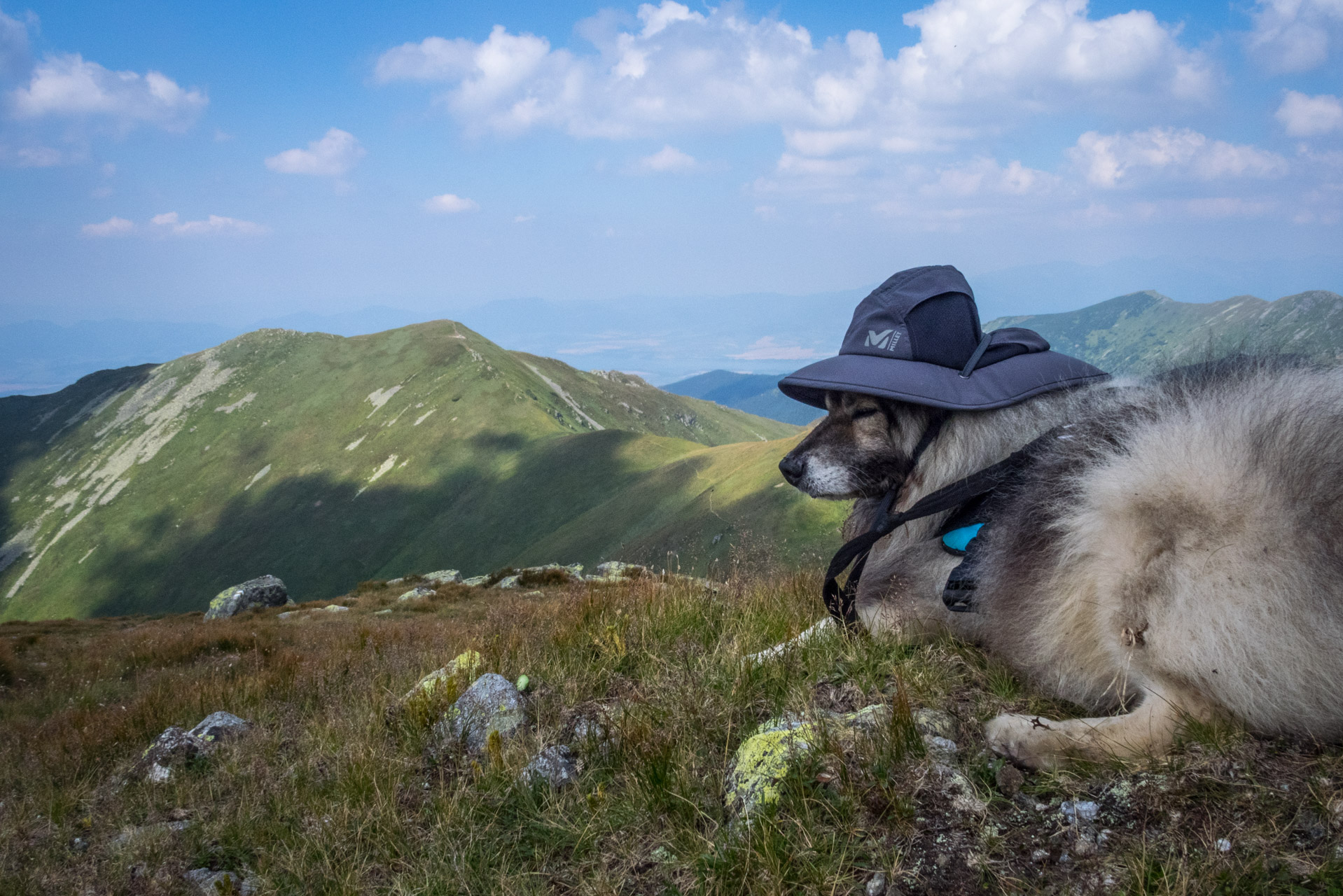 Skalka z Črmného (Nízke Tatry)