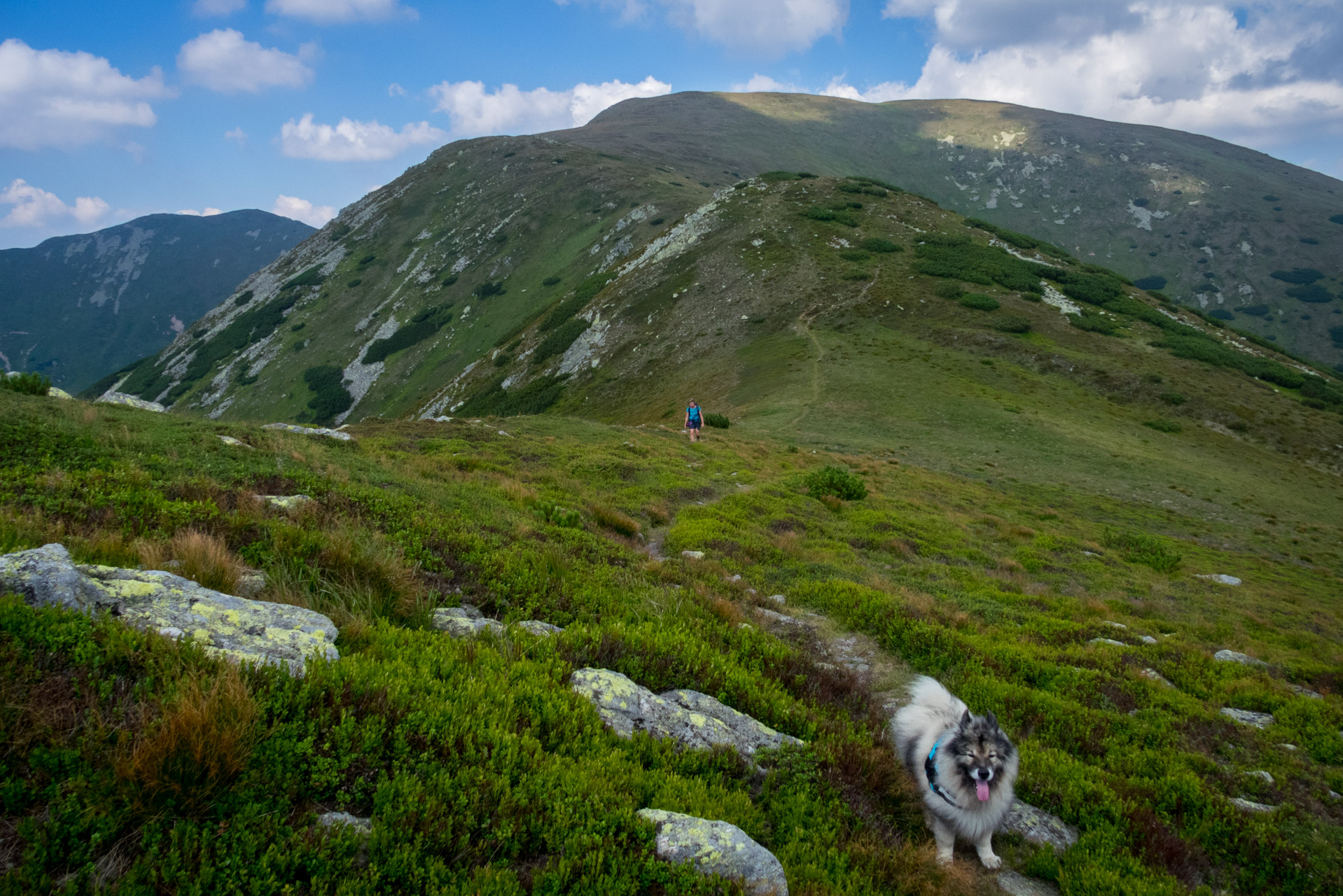 Skalka z Črmného (Nízke Tatry)