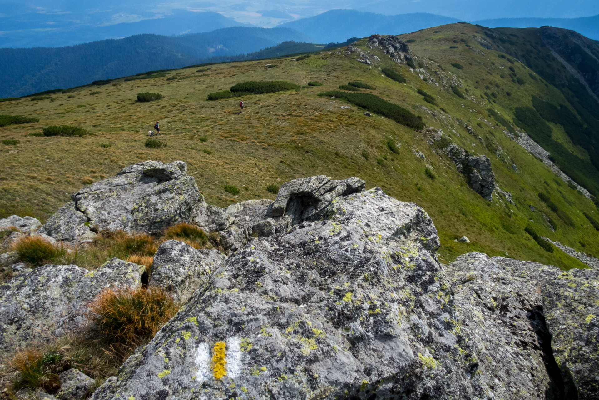 Skalka z Črmného (Nízke Tatry)