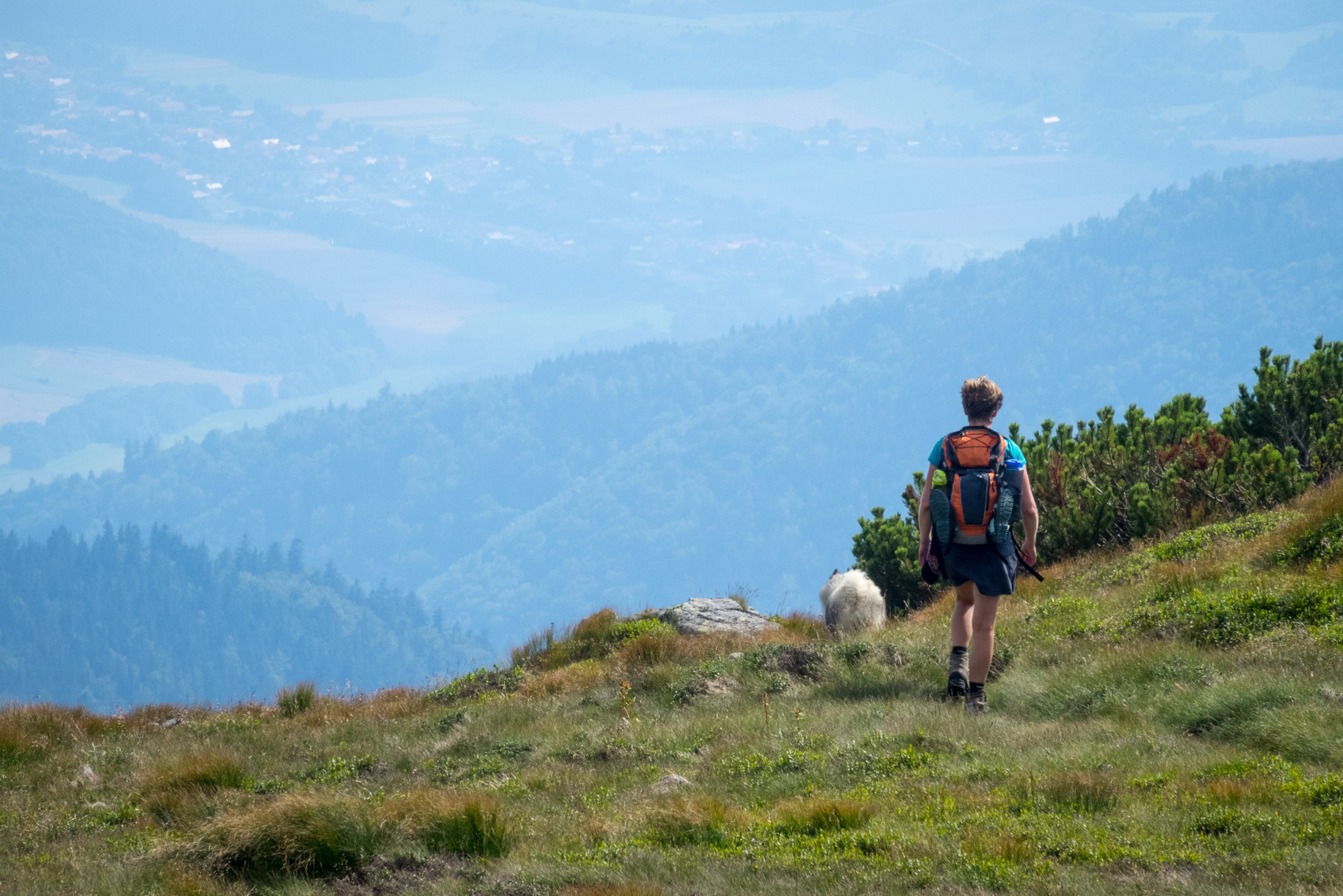 Skalka z Črmného (Nízke Tatry)