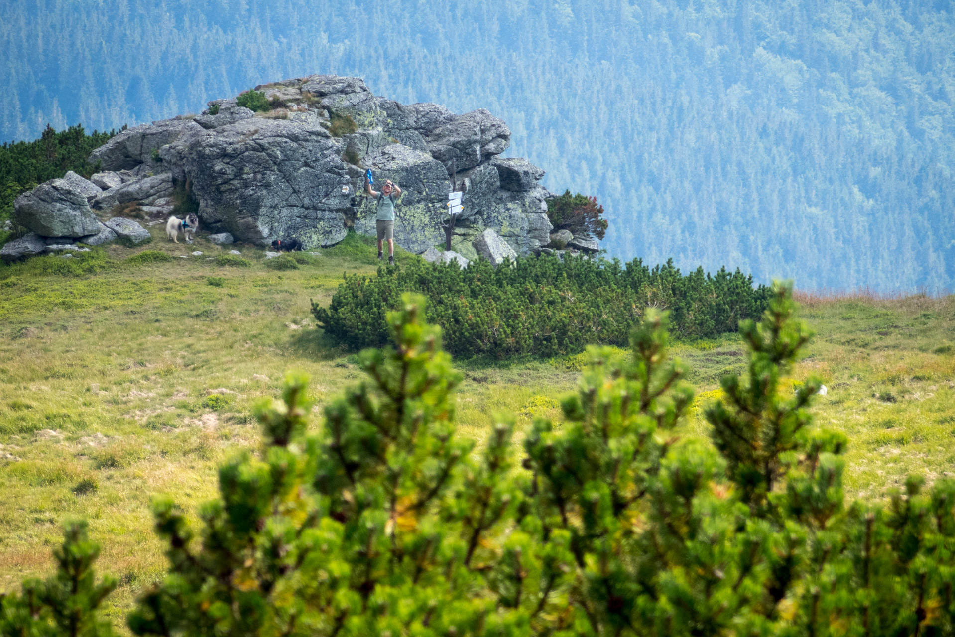 Skalka z Črmného (Nízke Tatry)