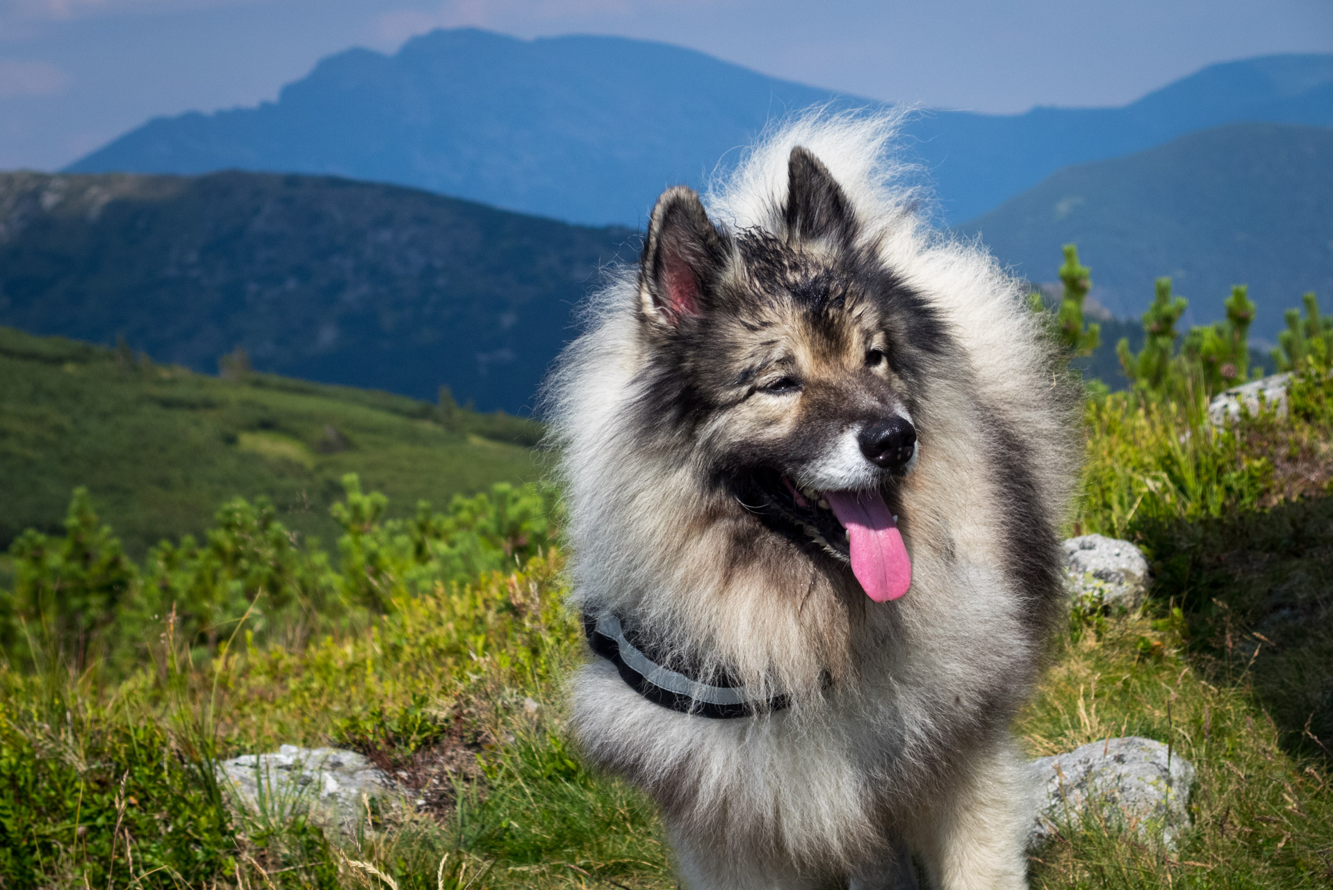 Skalka z Črmného (Nízke Tatry)