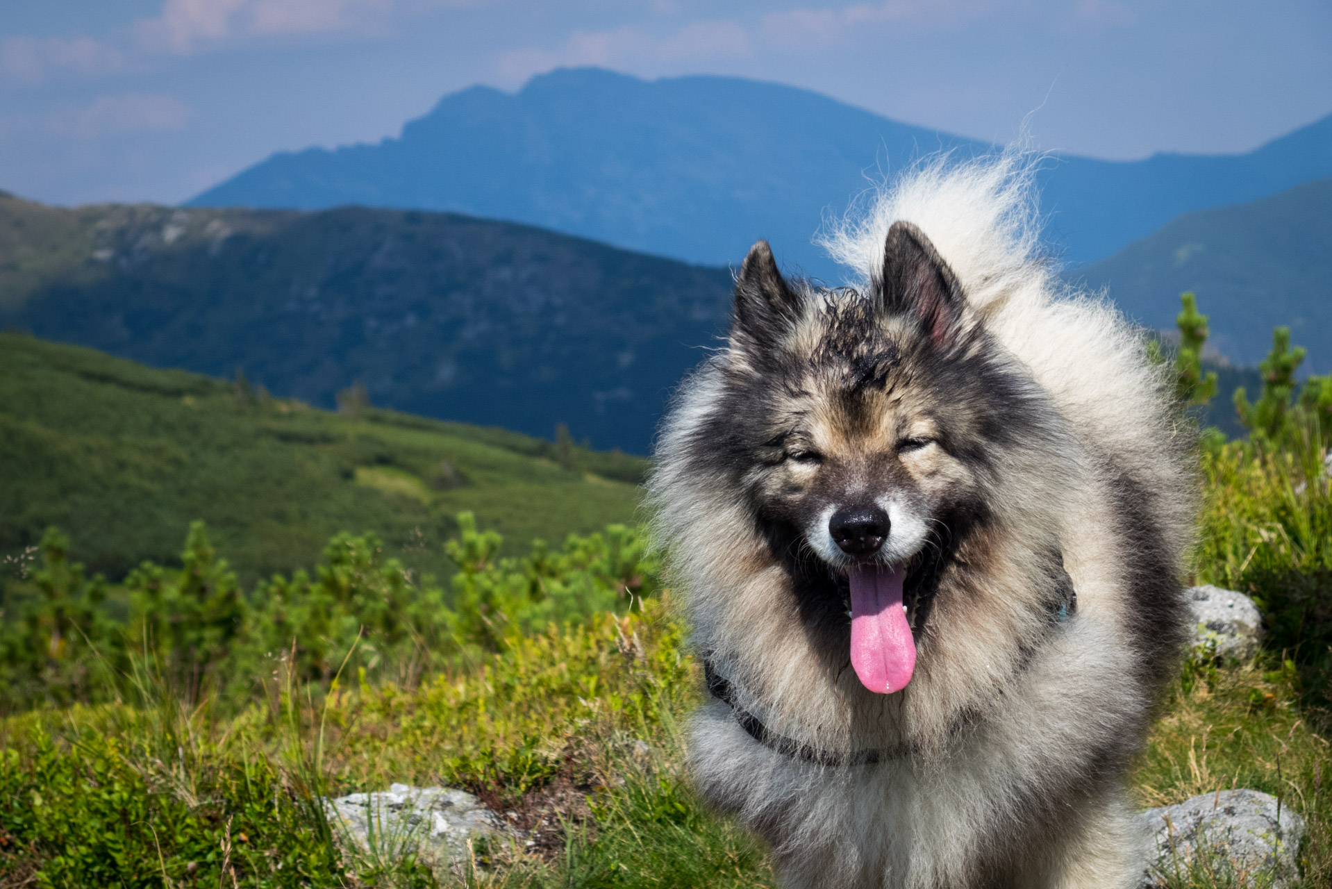 Skalka z Črmného (Nízke Tatry)