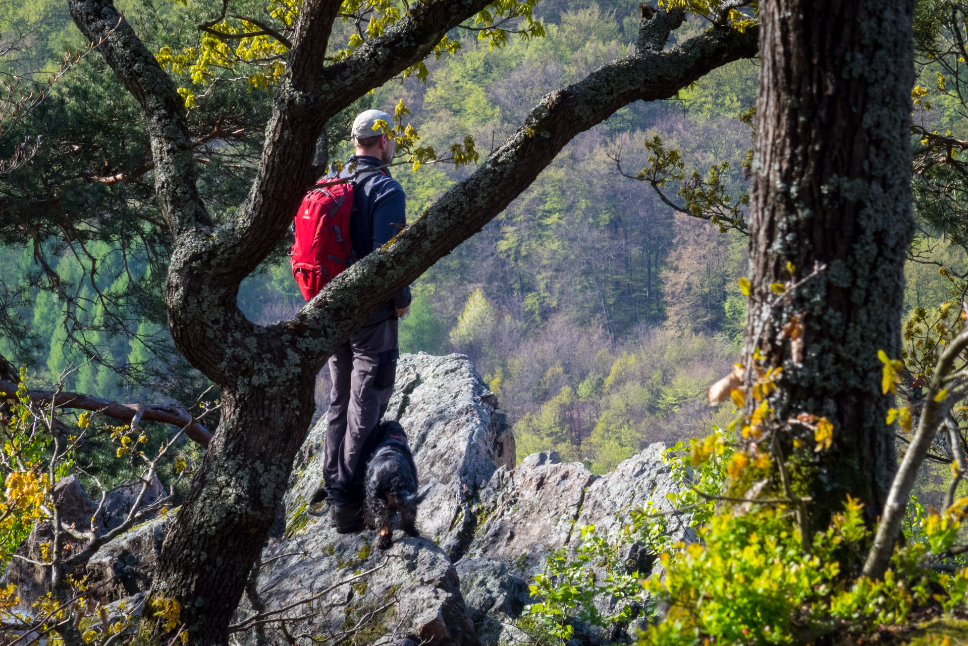 Skalka z Obišoviec (Čierna hora)