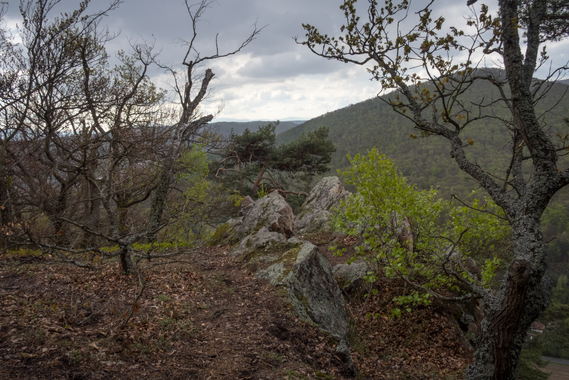 Skalka z Obišoviec (Čierna hora)