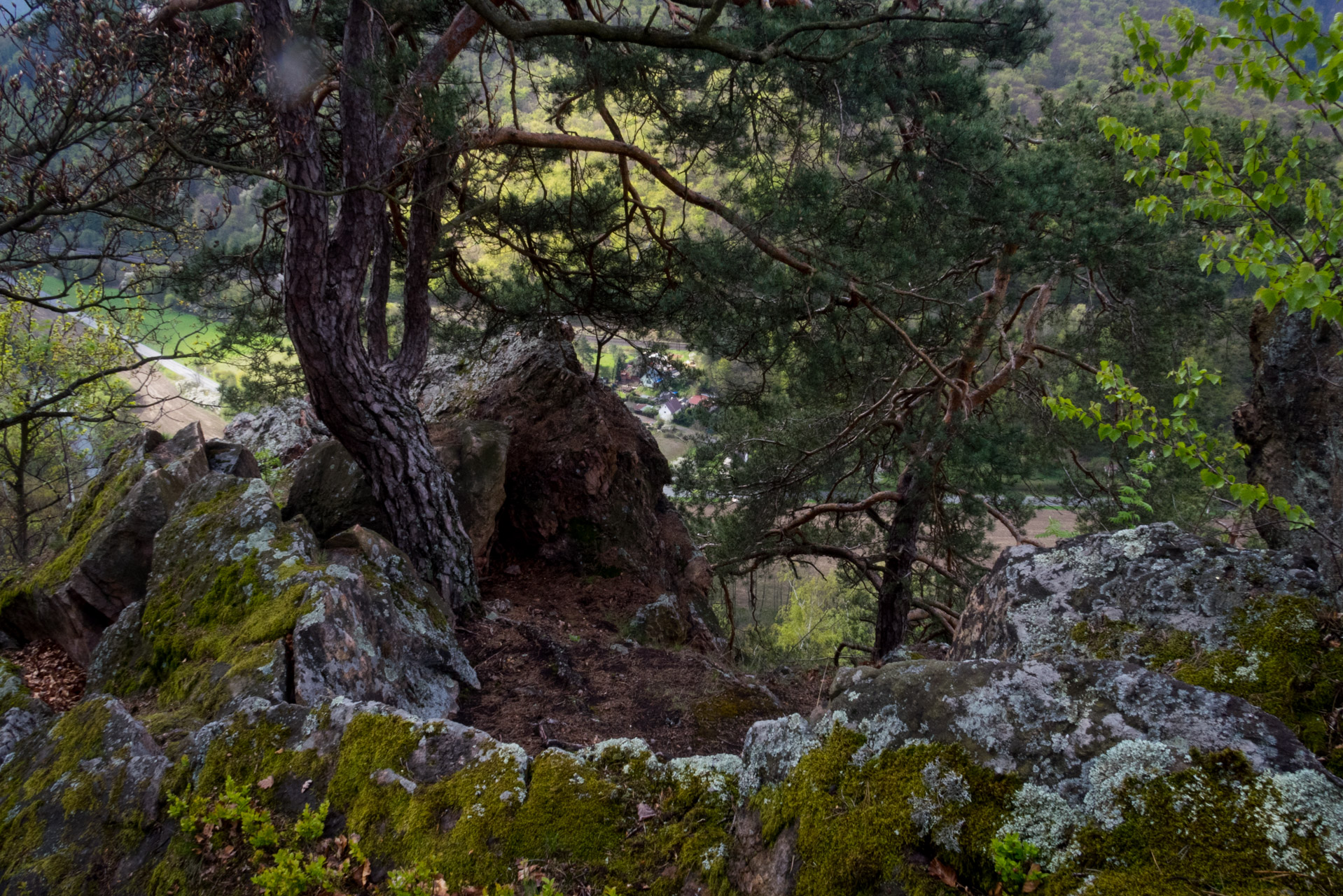 Skalka z Obišoviec (Čierna hora)