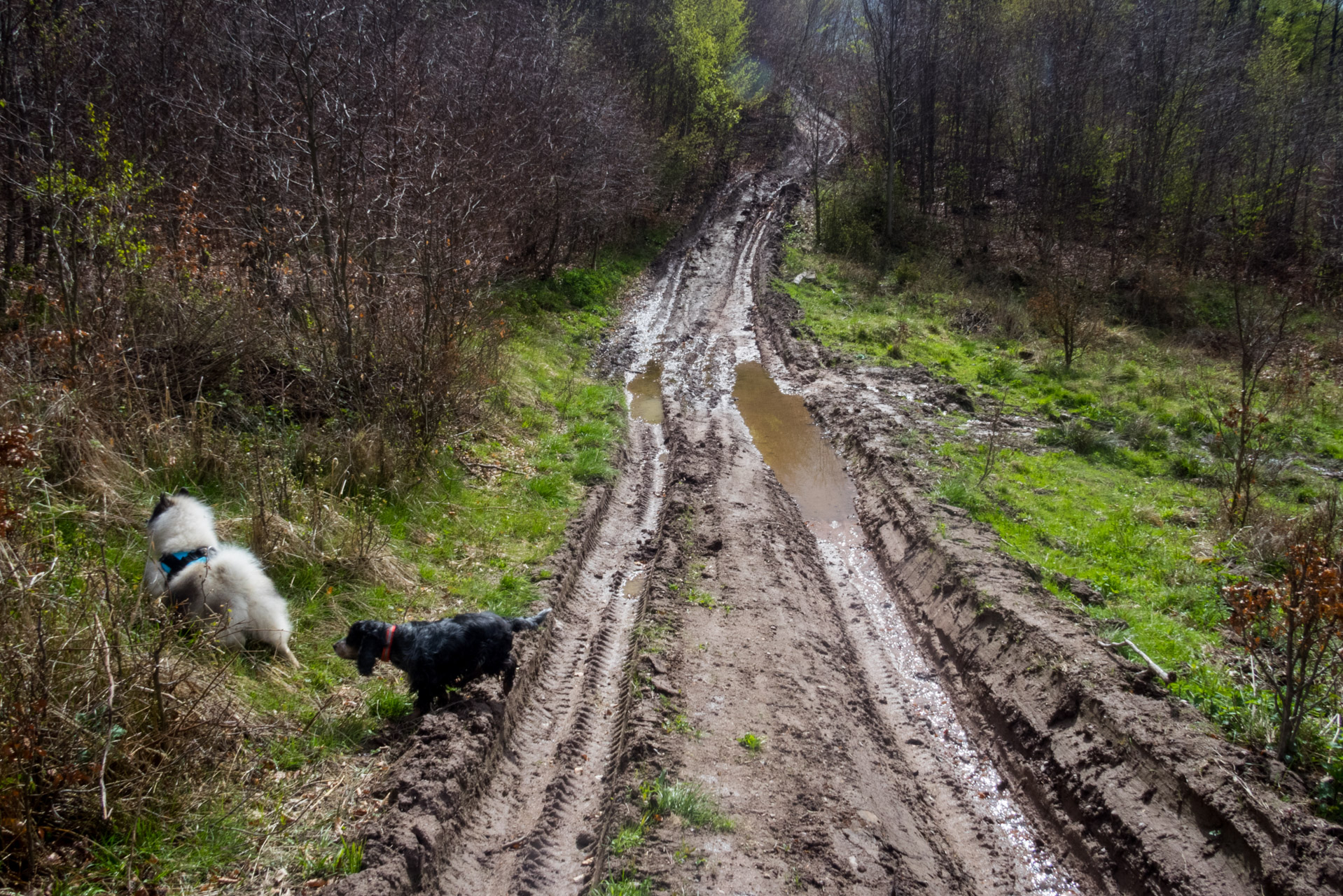 Skalka z Obišoviec (Čierna hora)