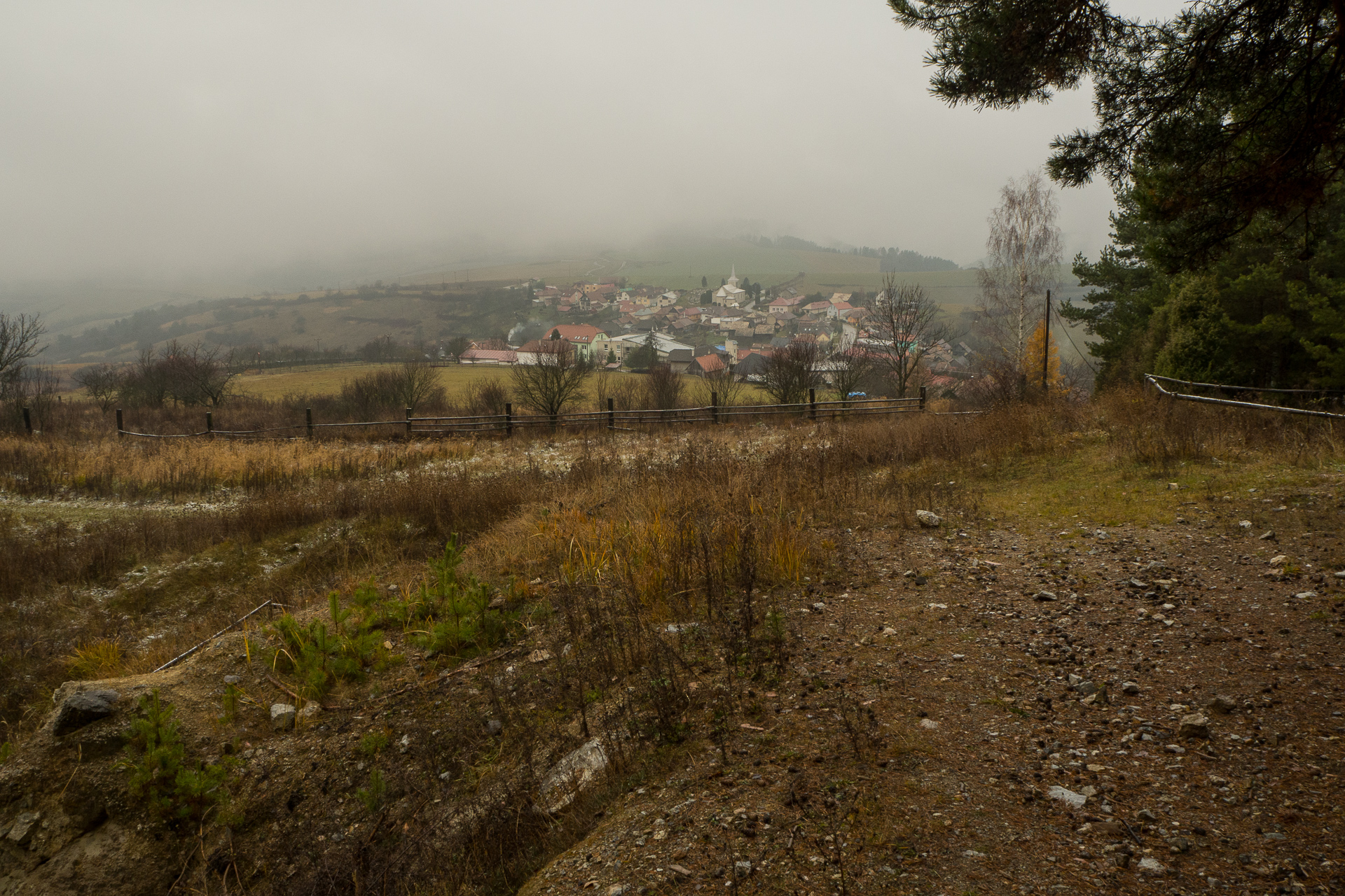 Sľubica z Dúbravy (Branisko a Bachureň)