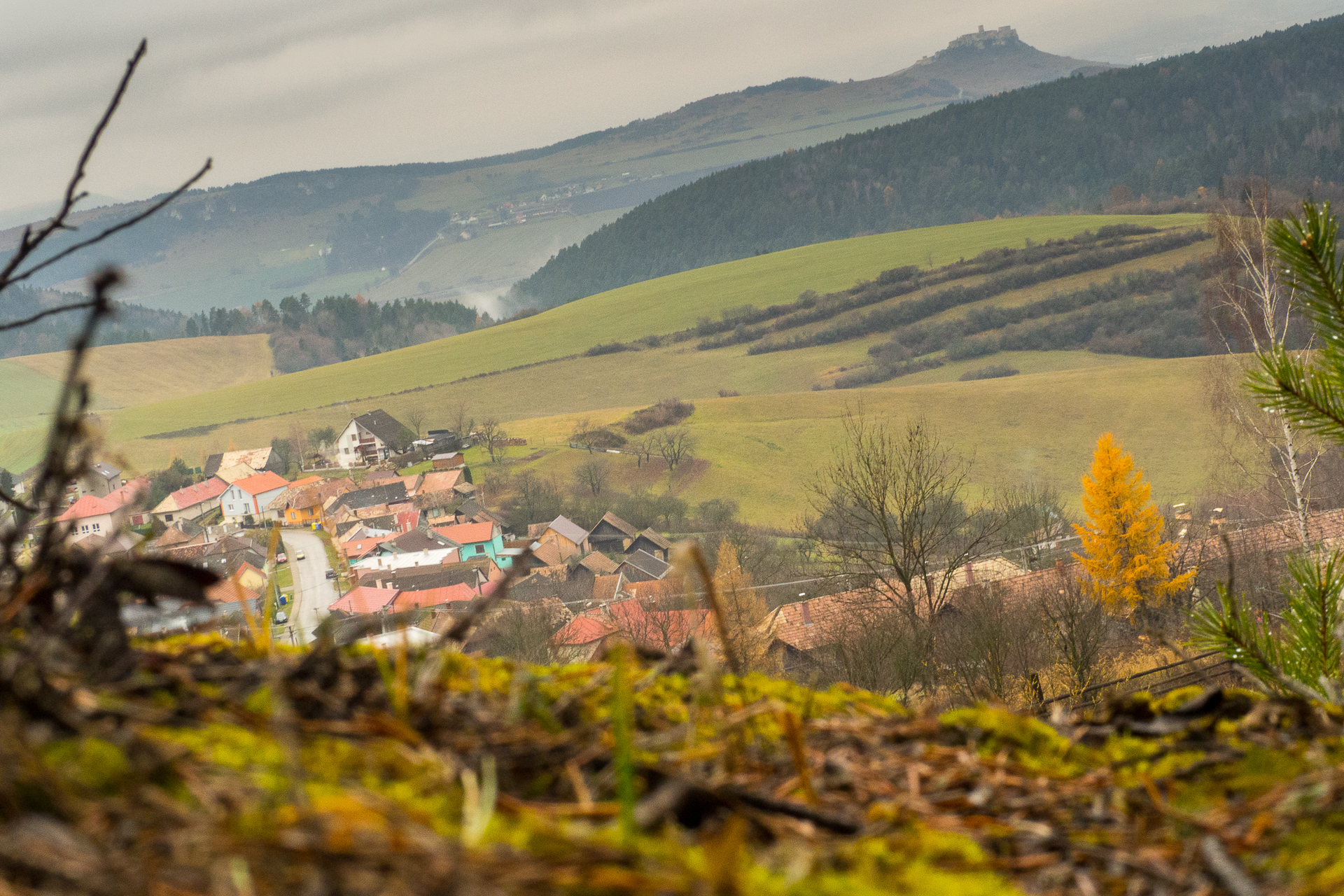 Sľubica z Dúbravy (Branisko a Bachureň)