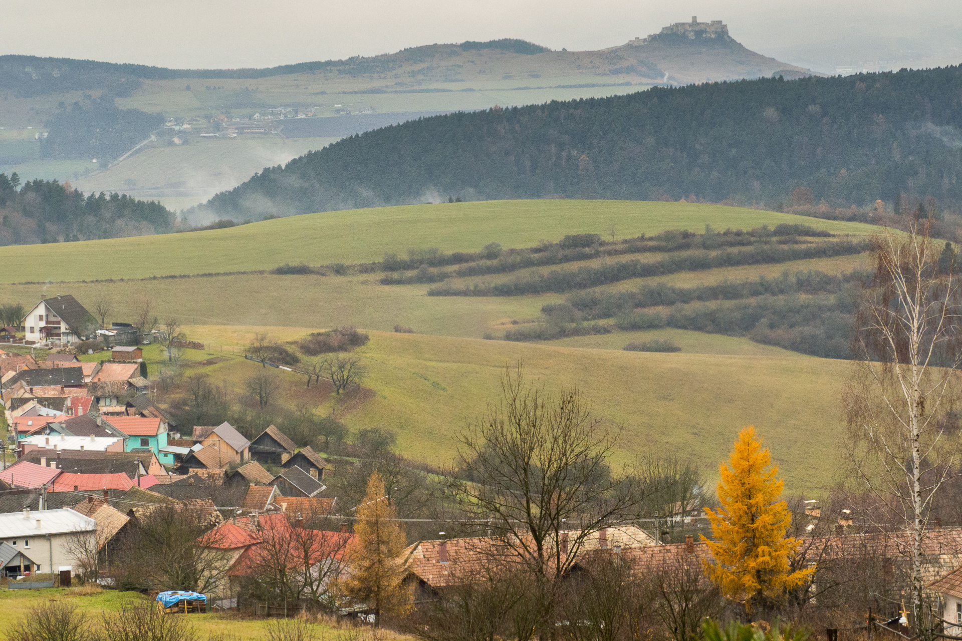 Sľubica z Dúbravy (Branisko a Bachureň)