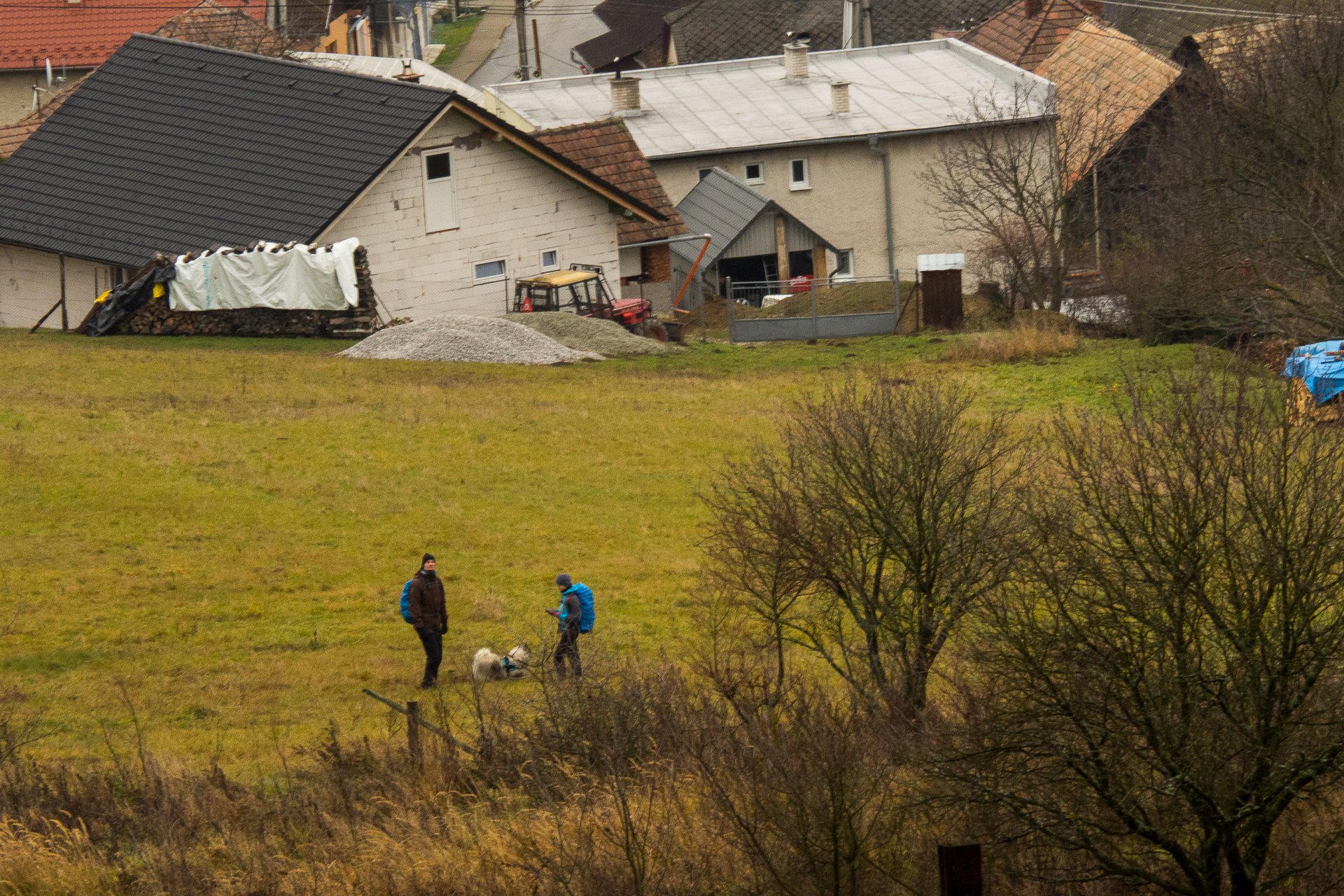 Sľubica z Dúbravy (Branisko a Bachureň)