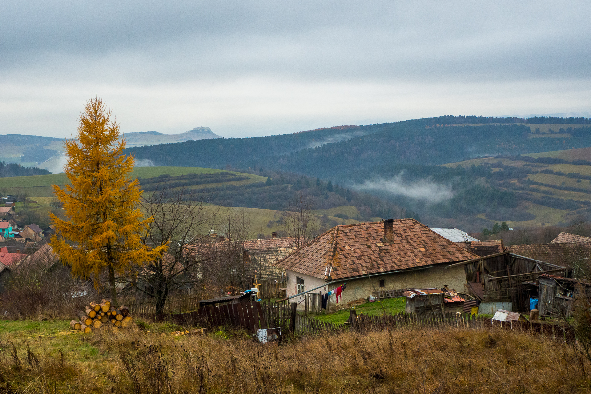 Sľubica z Dúbravy (Branisko a Bachureň)