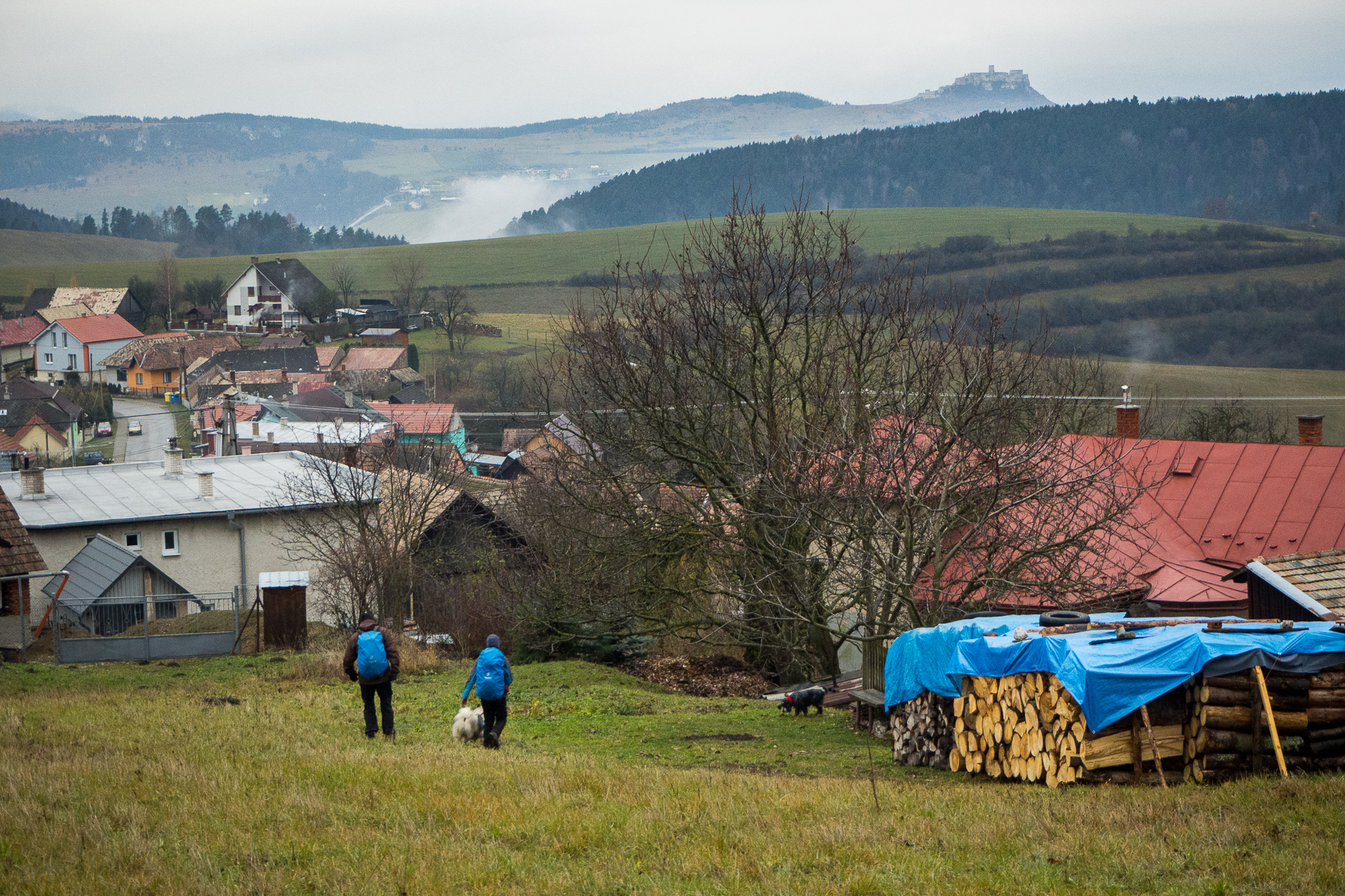 Sľubica z Dúbravy (Branisko a Bachureň)