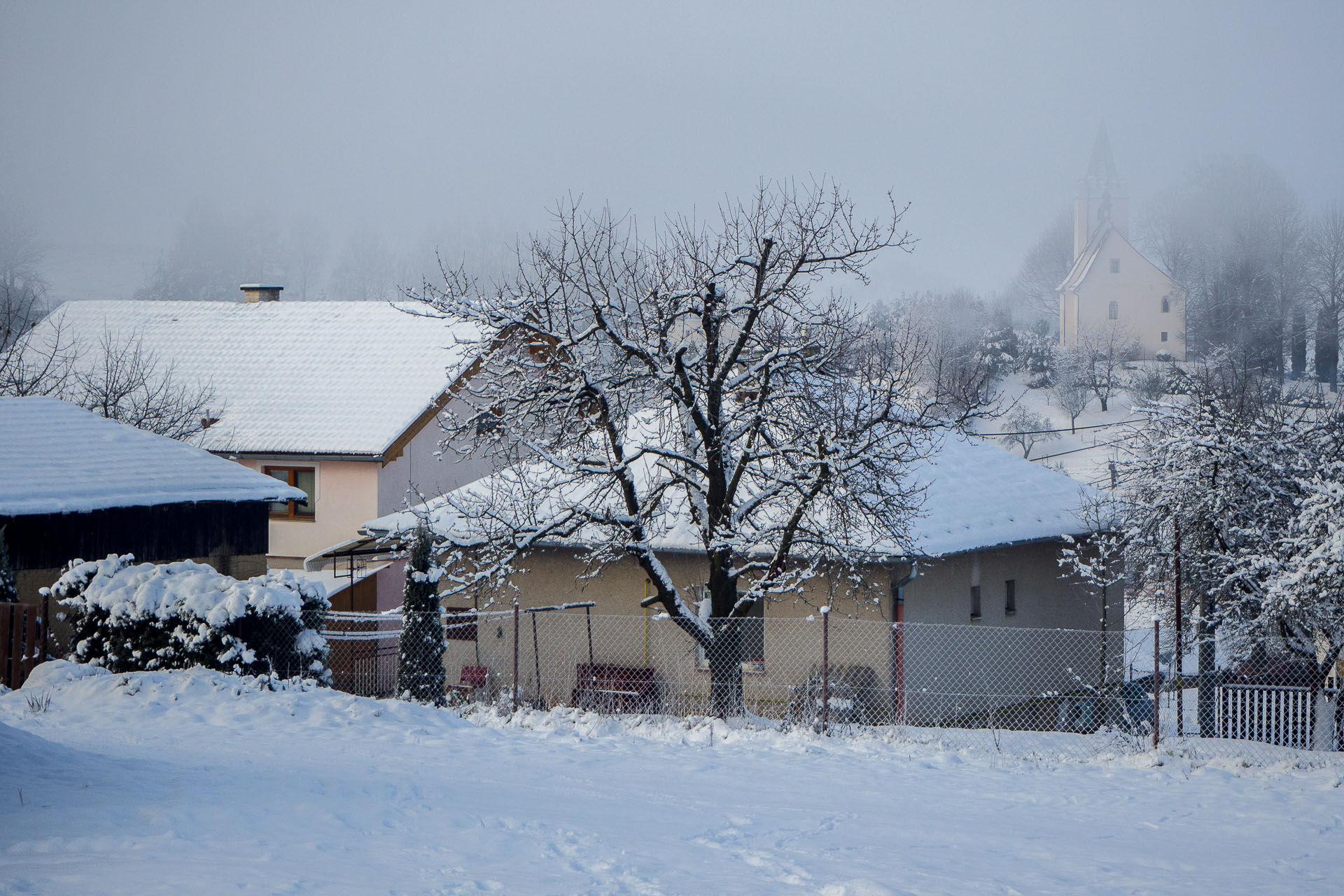 Sľubica zo Slatviny (Branisko a Bachureň)