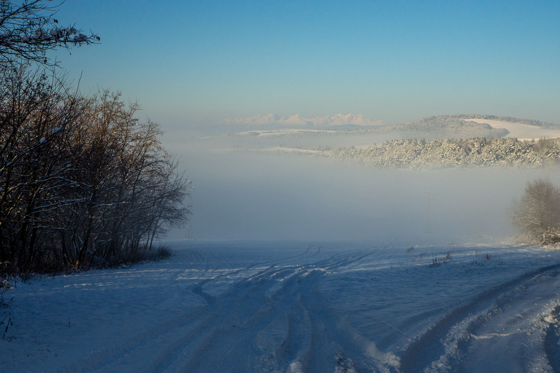 Sľubica zo Slatviny (Branisko a Bachureň)