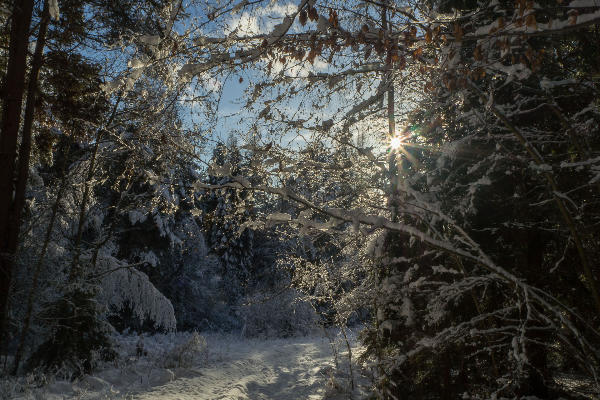 Sľubica zo Slatviny (Branisko a Bachureň)