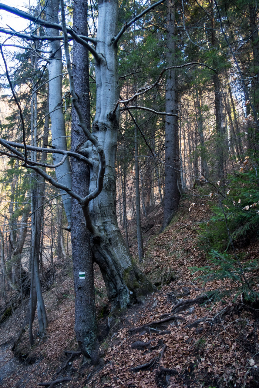 Cez Geravy Tomášovskou Belou (Slovenský raj)