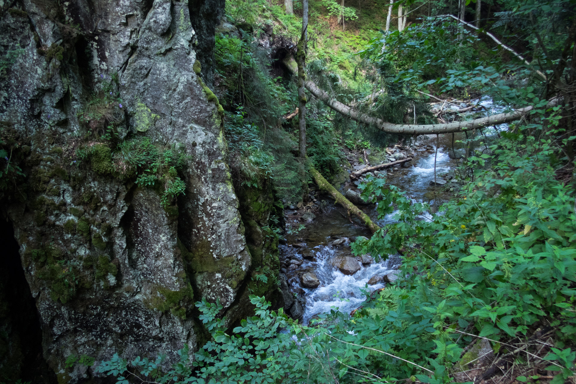 Vajskovský vodopád z Črmného (Nízke Tatry)