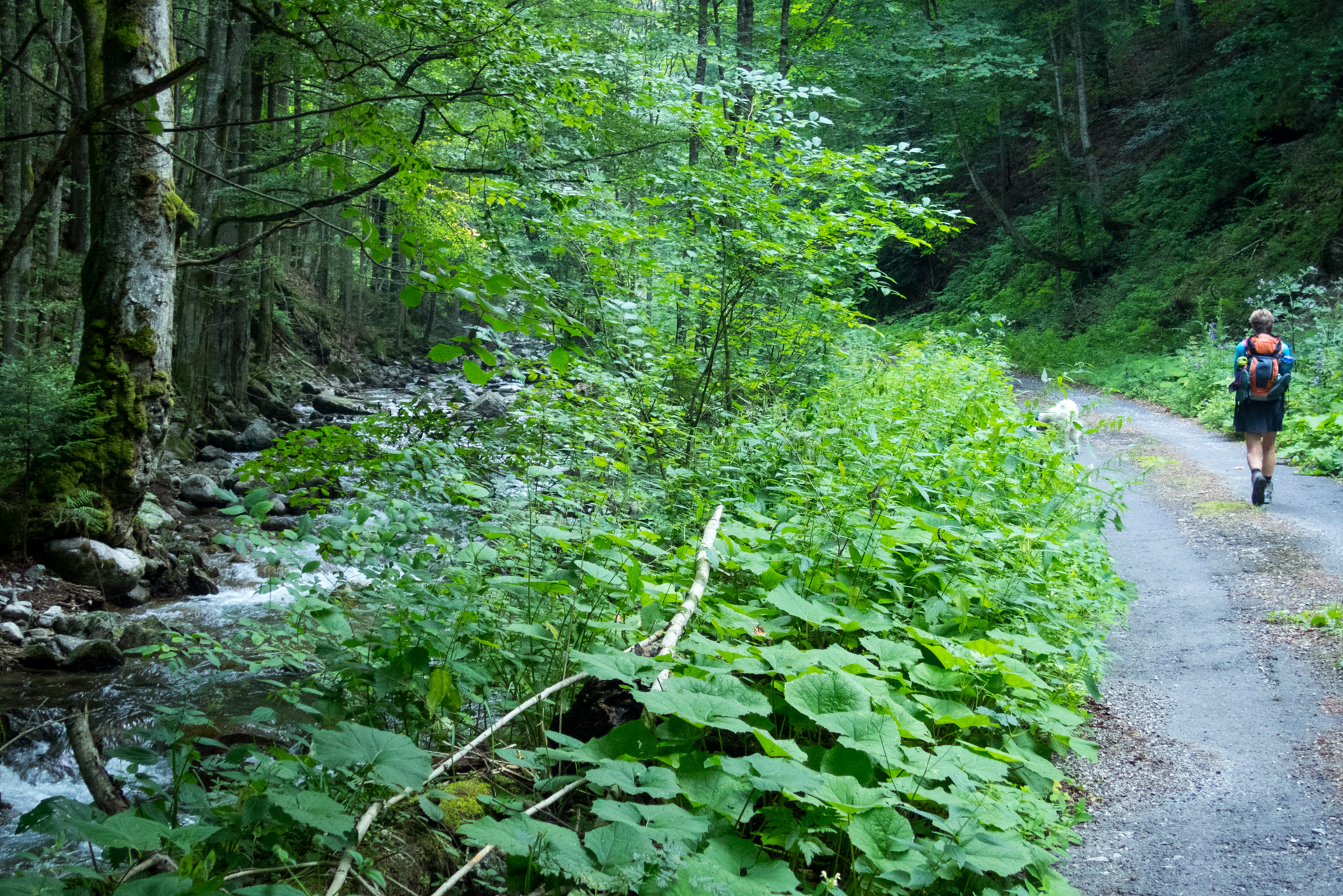 Vajskovský vodopád z Črmného (Nízke Tatry)