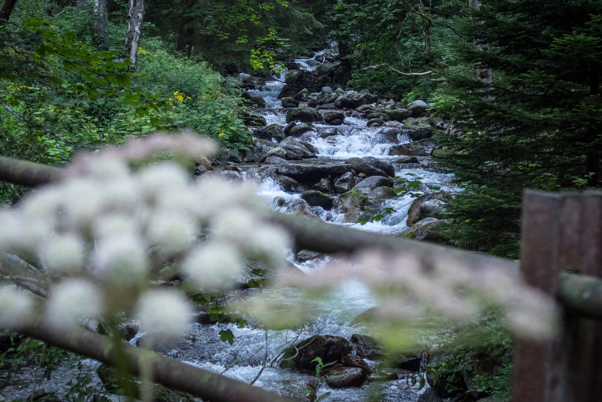 Vajskovský vodopád z Črmného (Nízke Tatry)